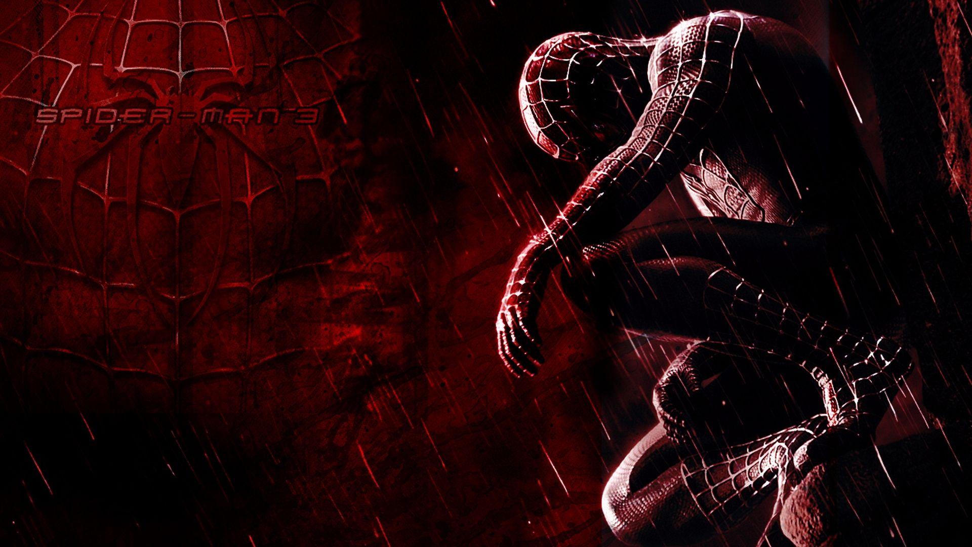 Spider Man 3 HD Wallpaper. Background Imagex1080