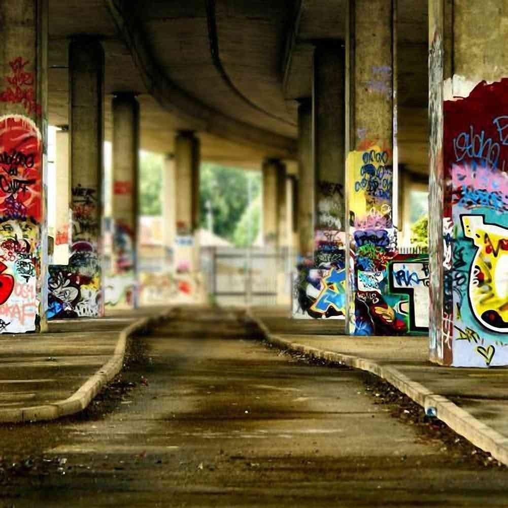 Amazon.com, GladsBuy Roadside Graffiti Wall 10' x 10' Computer