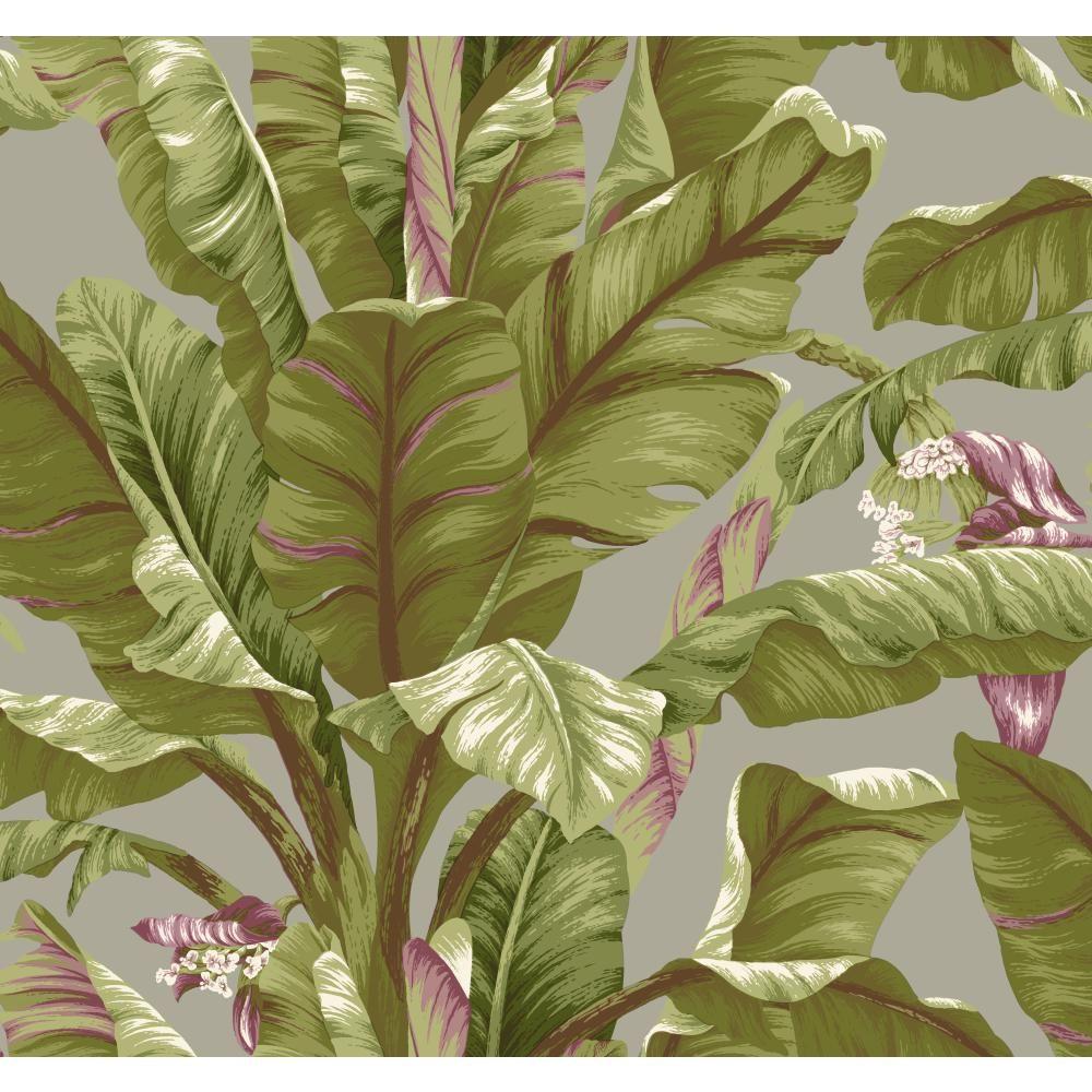 York Wallcoverings Tropics Banana Leaf Wallpaper AT7070 Home