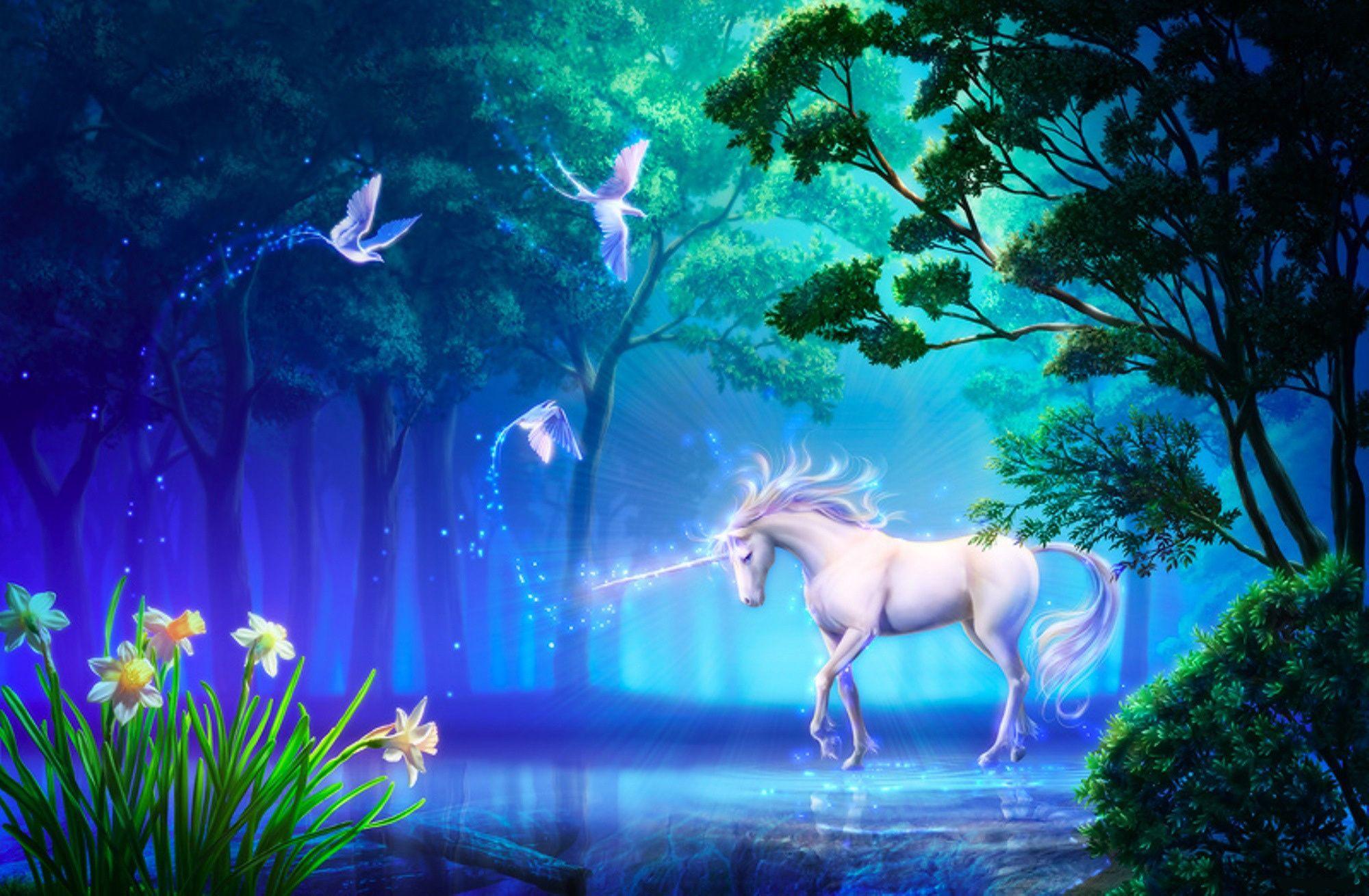 Beautiful Fantasy Wallpaper Unicorn in Fairy Forest​-Quality Free Image and Transparent PNG Clipart