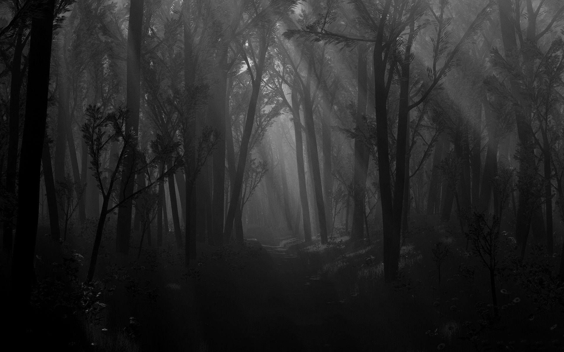 Wallpaper.wiki Black And White Forest Desktop Background PIC