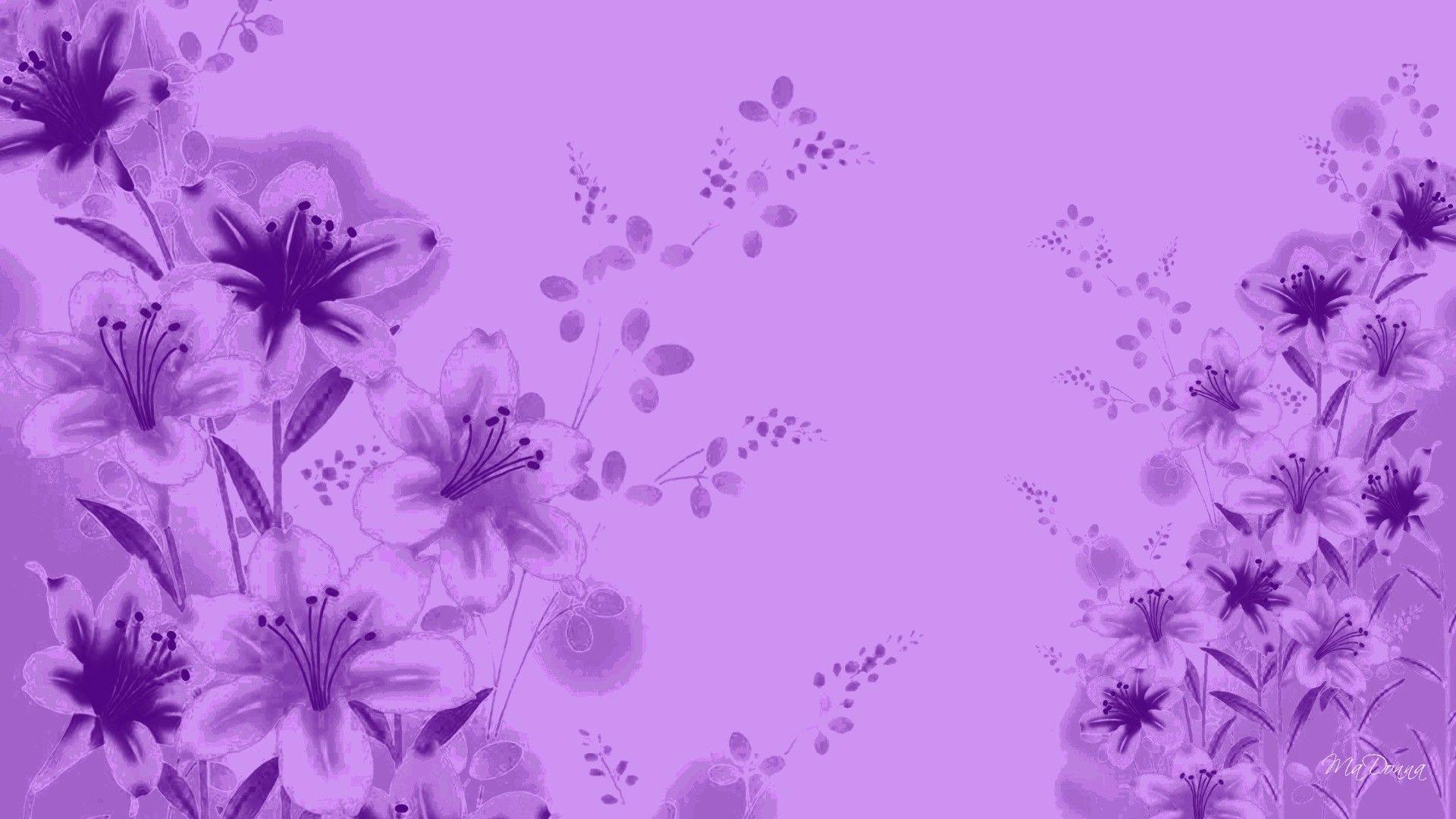 Wallpaper For > Lavender Color Wallpaper
