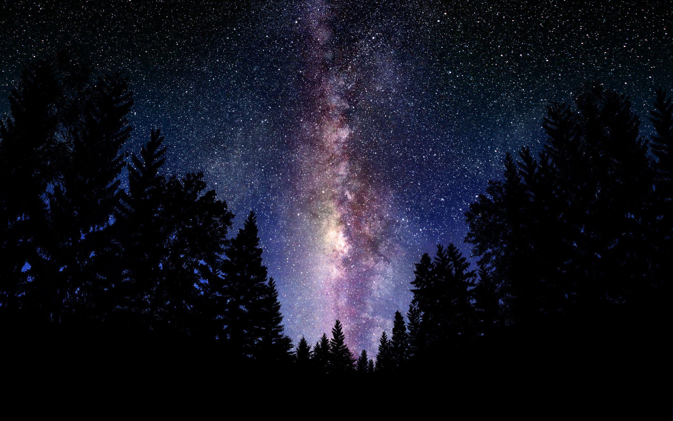 Wallpaper Milky Way, sky, night, stars, tree, forest desktop