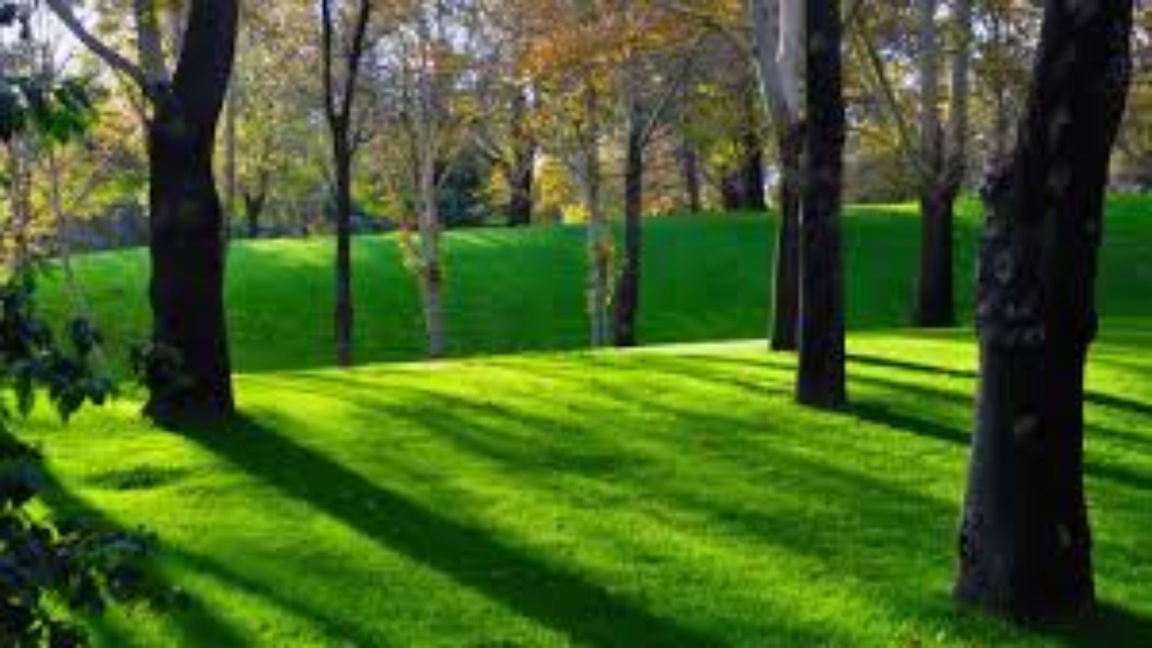 Wallpaper Nature Full Size Desk