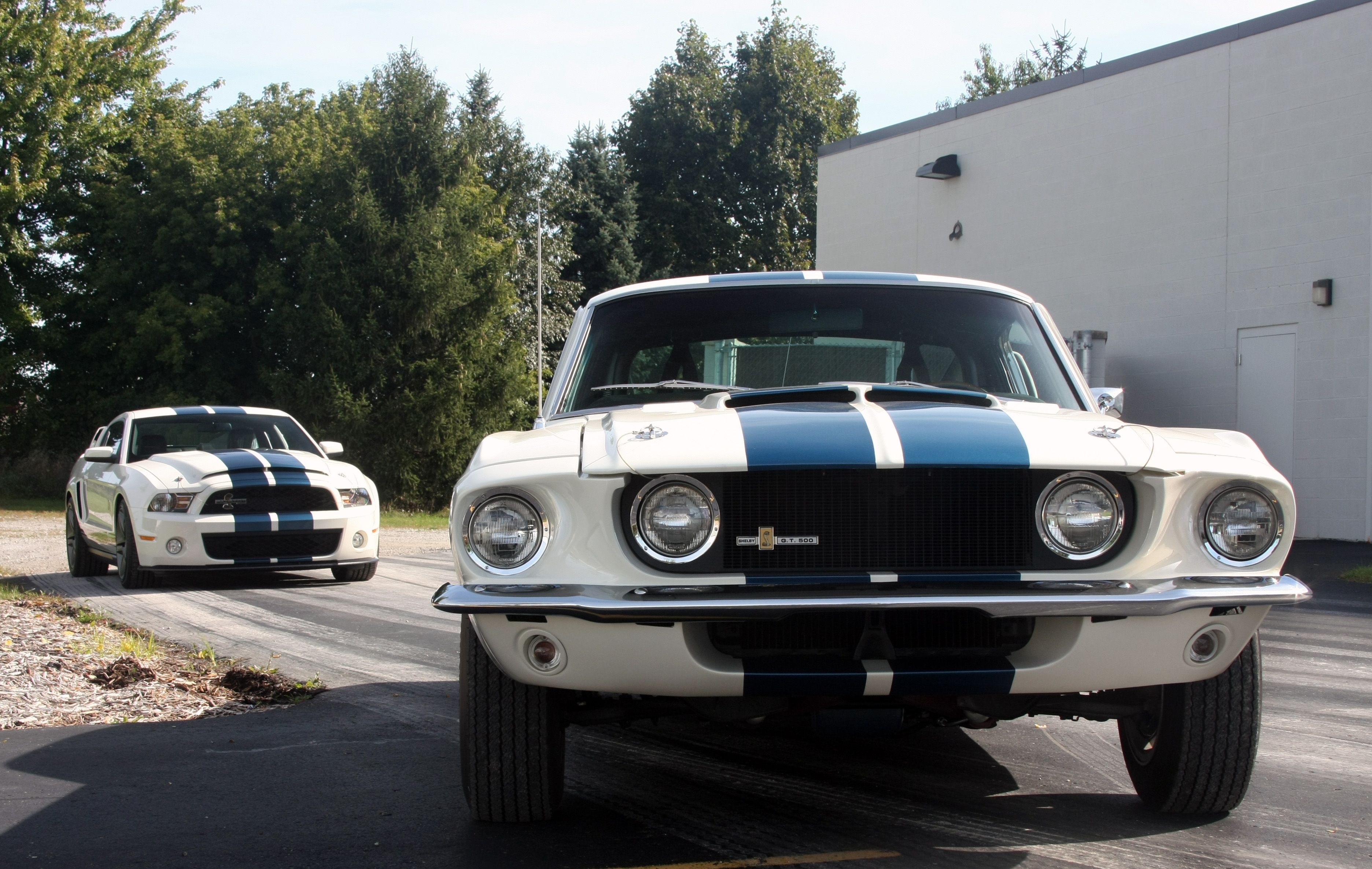 SHELBY GT500 & 2010 SHELBY GT500 PATRIOT EDITION Full HD