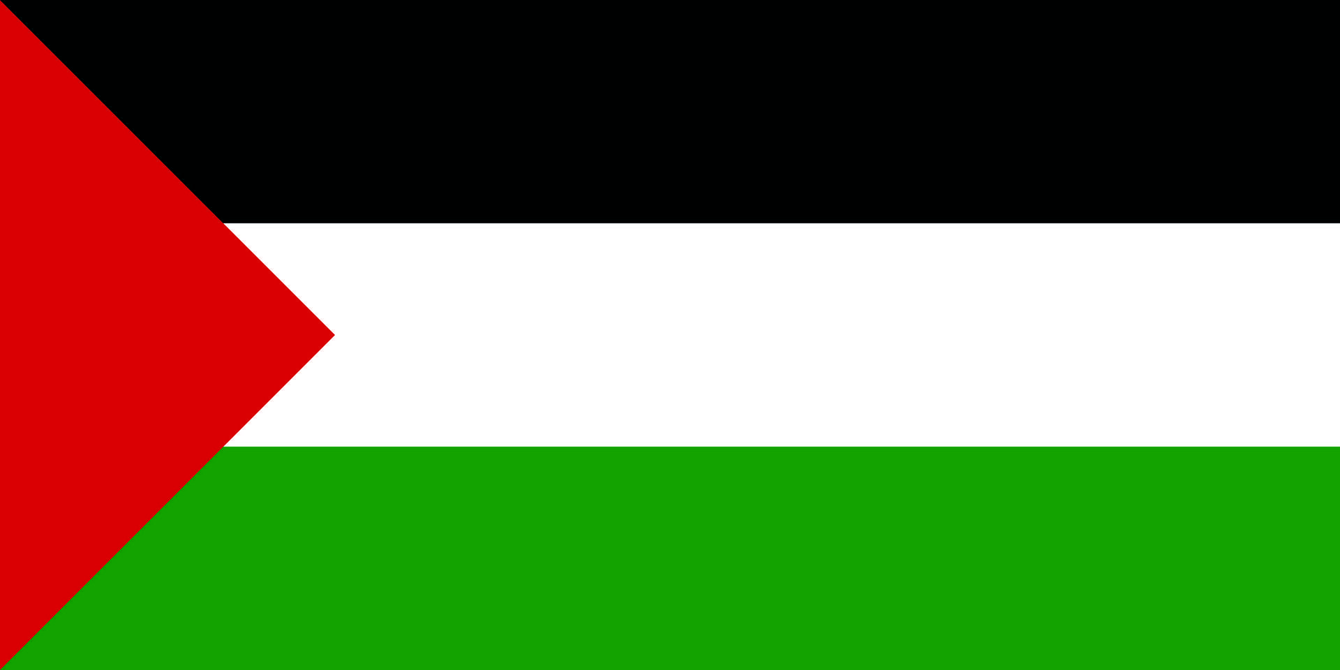 Palestine Flag wallpaper. Education. Palestine flag