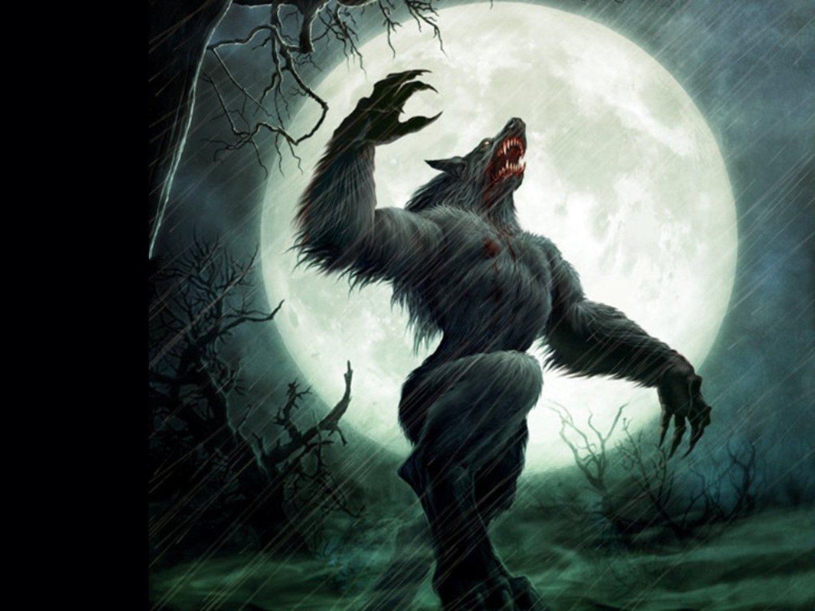 Werewolf HD Wallpaper and Background Image