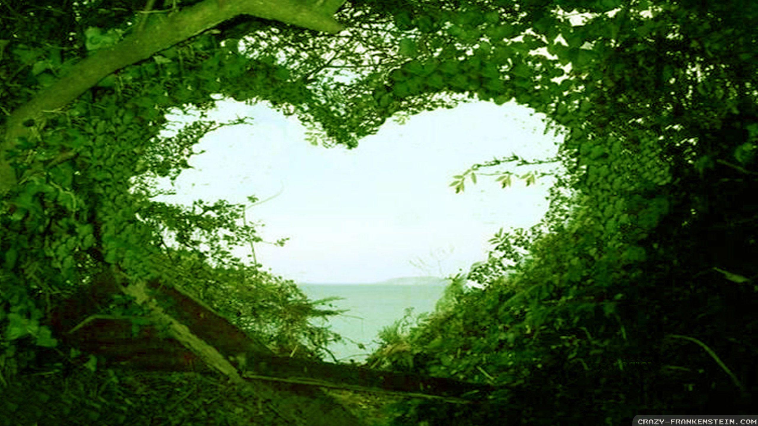 Nature Love Wallpaper HD