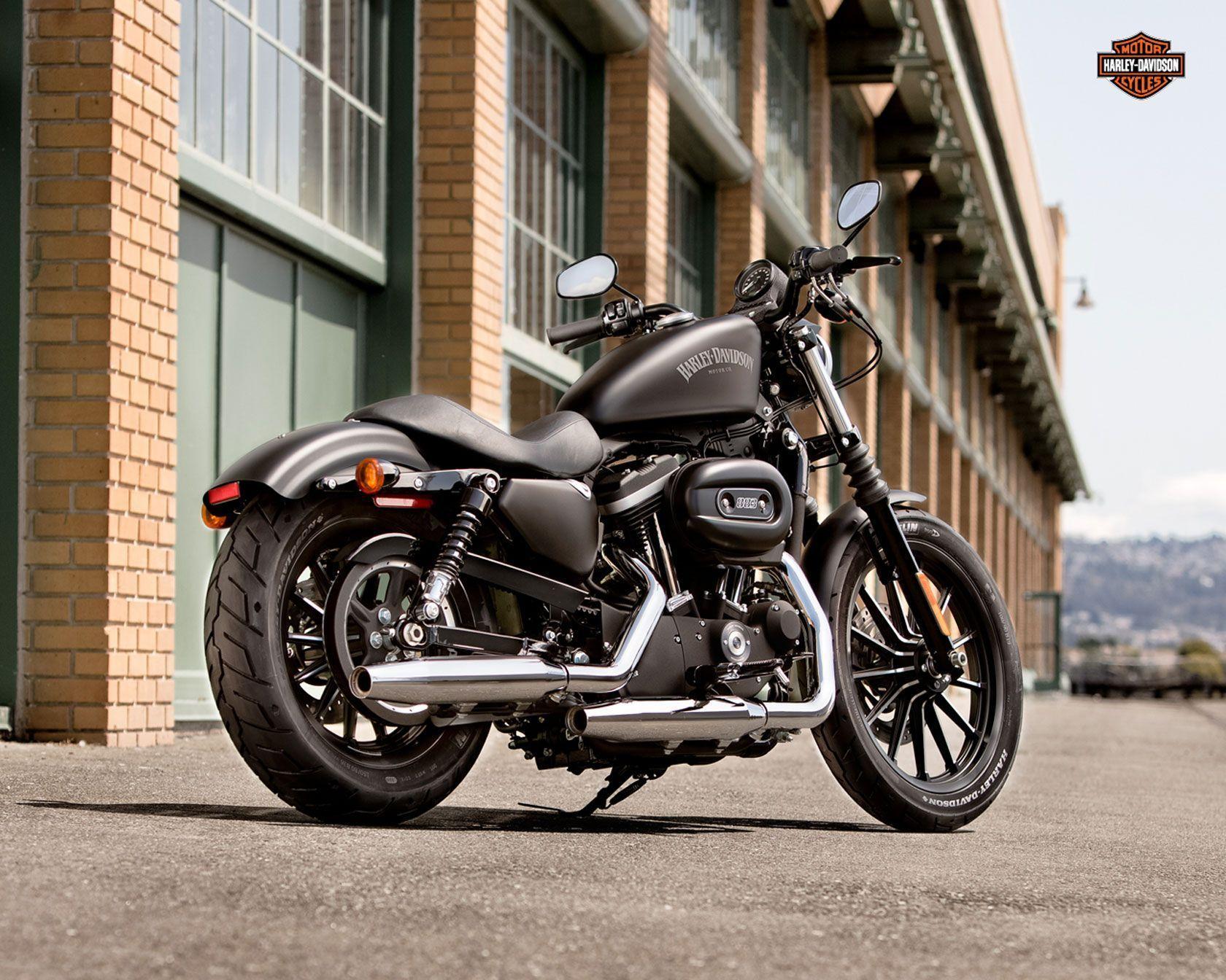 Wallpaper 2015 Harley Davidson Iron 883. Free