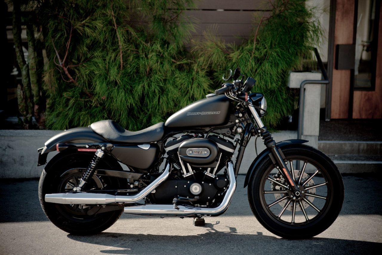 Harley Davidson Iron 883 HD Wallpaper & Image