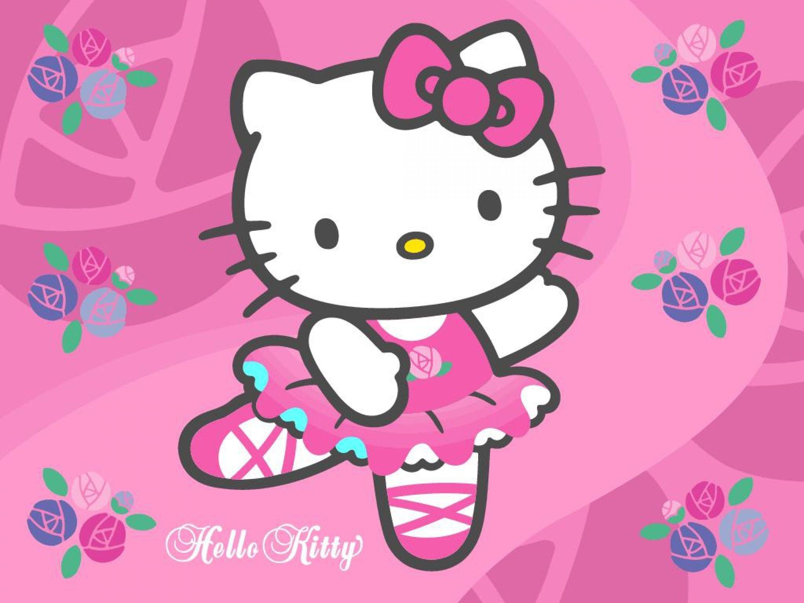 Hello Kitty Wallpaper with pink background and flowers picture