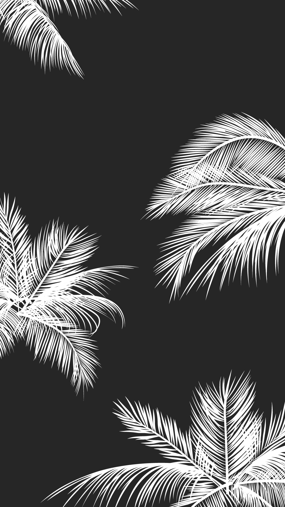Black white palm leaves palm trees. patterns. Black wallpaper