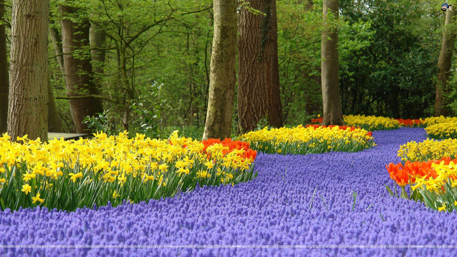 Santabanta Nature Wallpaper HD