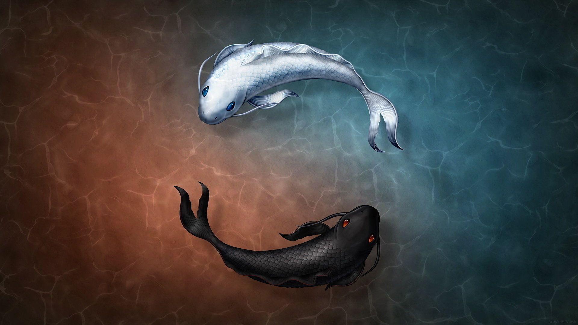 Yin and Yang Fish Symbol Wallpaper, HD Animals 4K Wallpaper