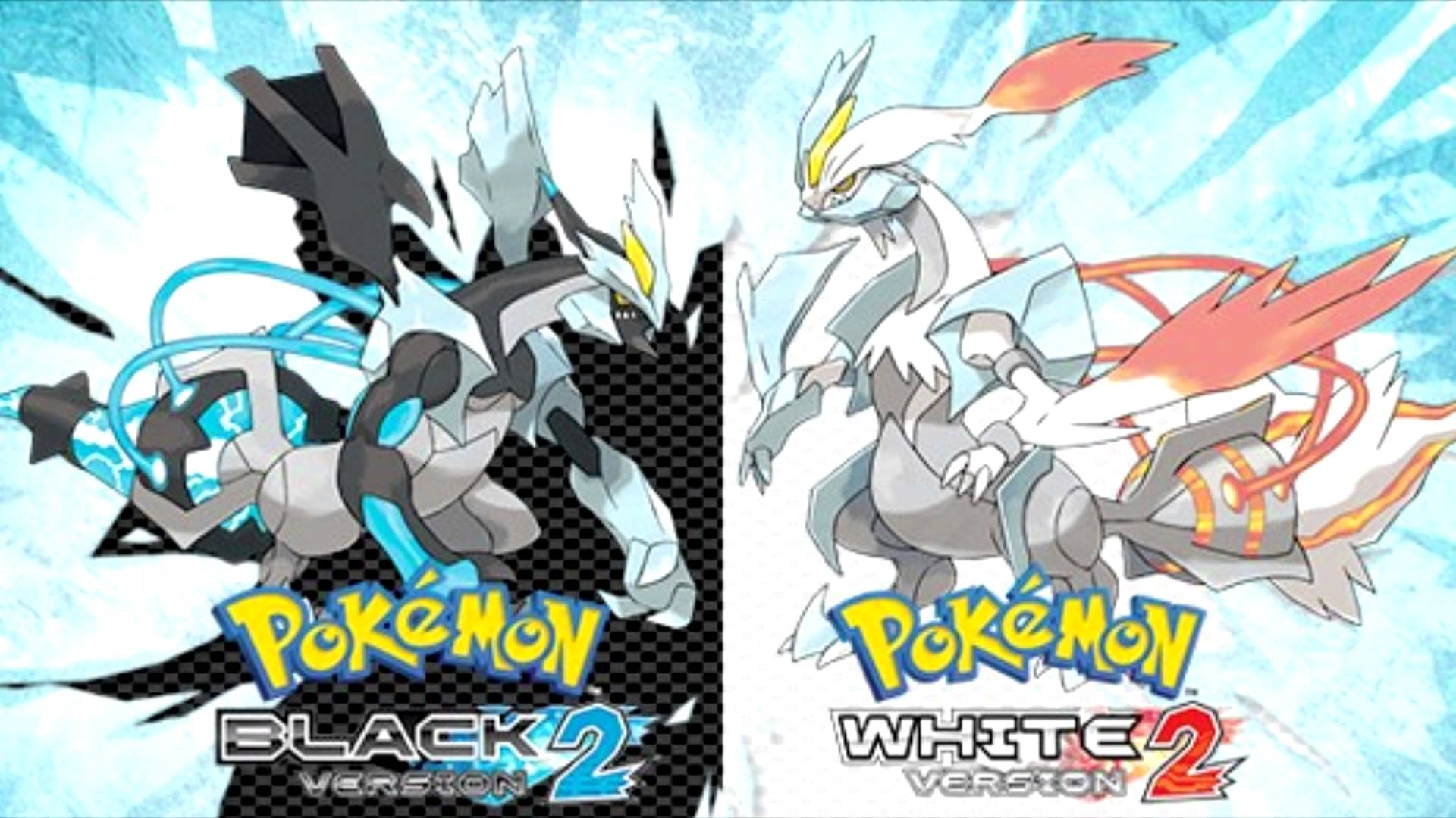 pokemon black and white 2 is black tower randomized