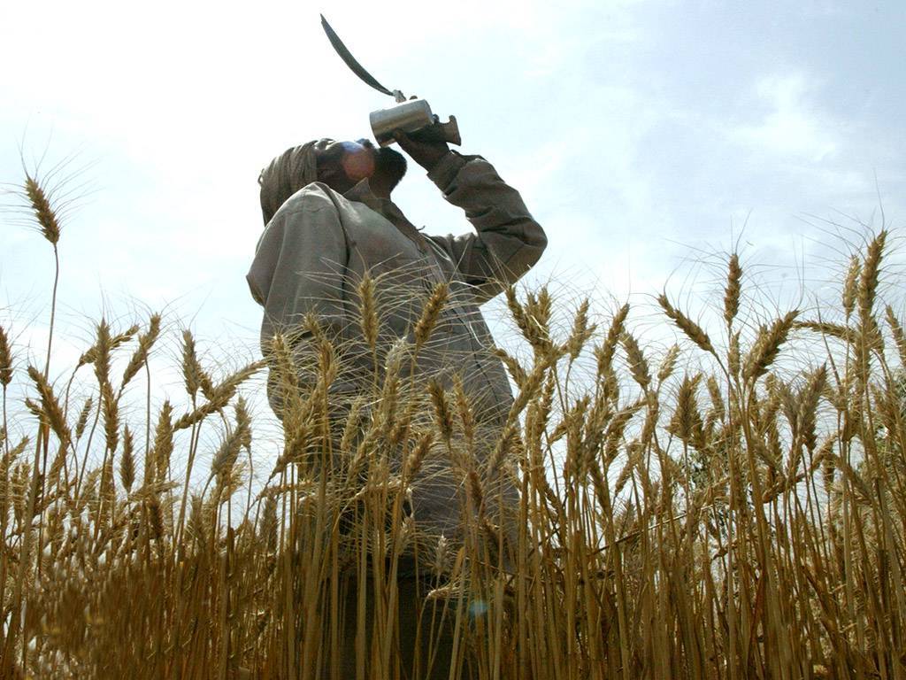 Baisakhi Festival Image: Sikh Community For Students