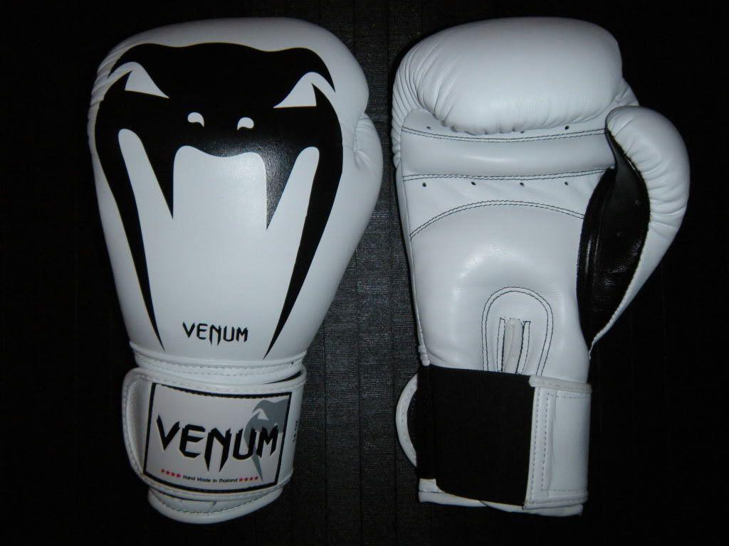 MMAGearGuide.net Sneak Peek: Venum 14oz Gloves And Shin Instep