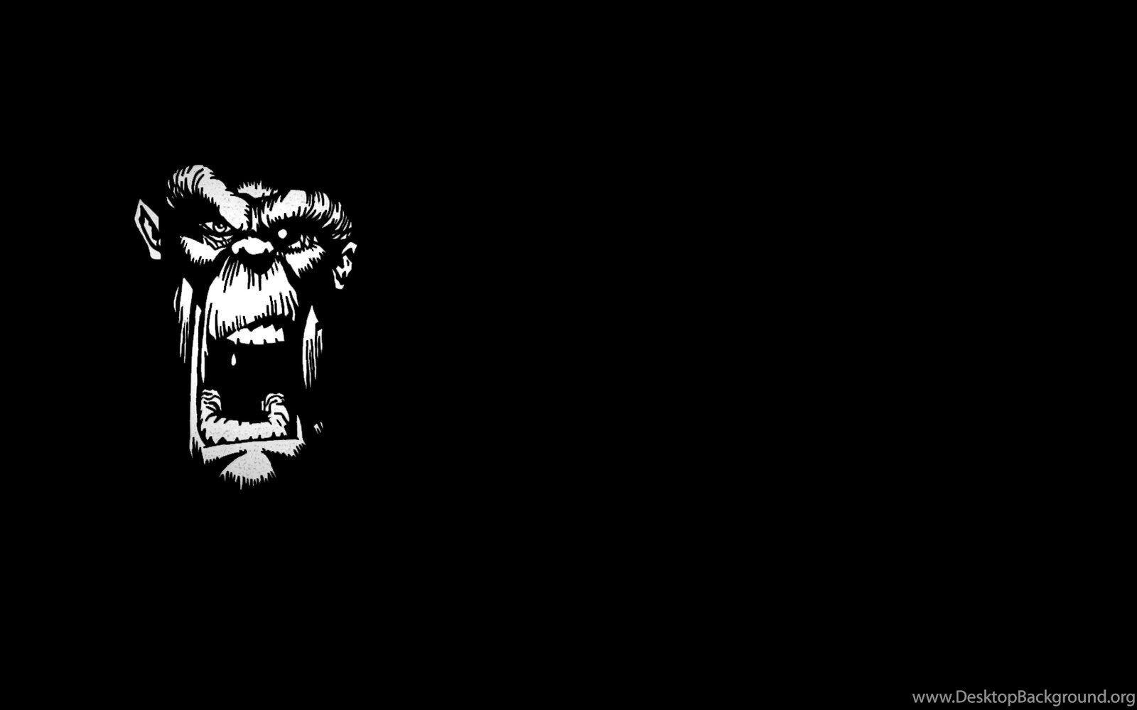 Download Crazy Wallpaper HD Photo High Resolution 1600x1000px