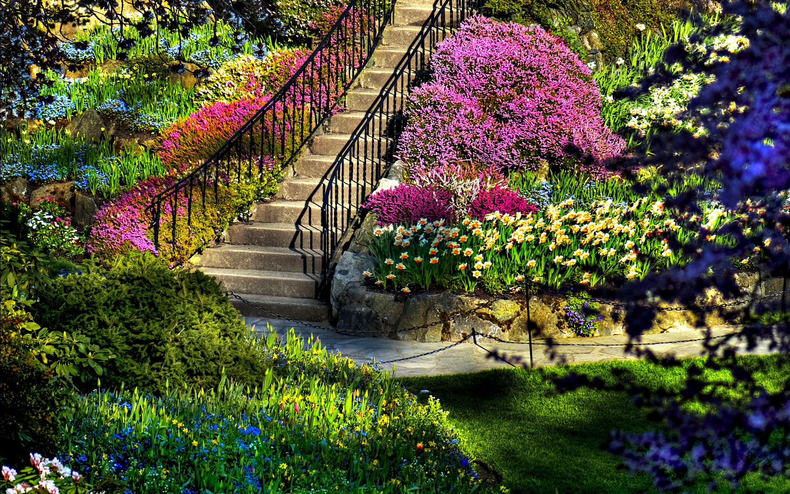 красивый парк с цветами