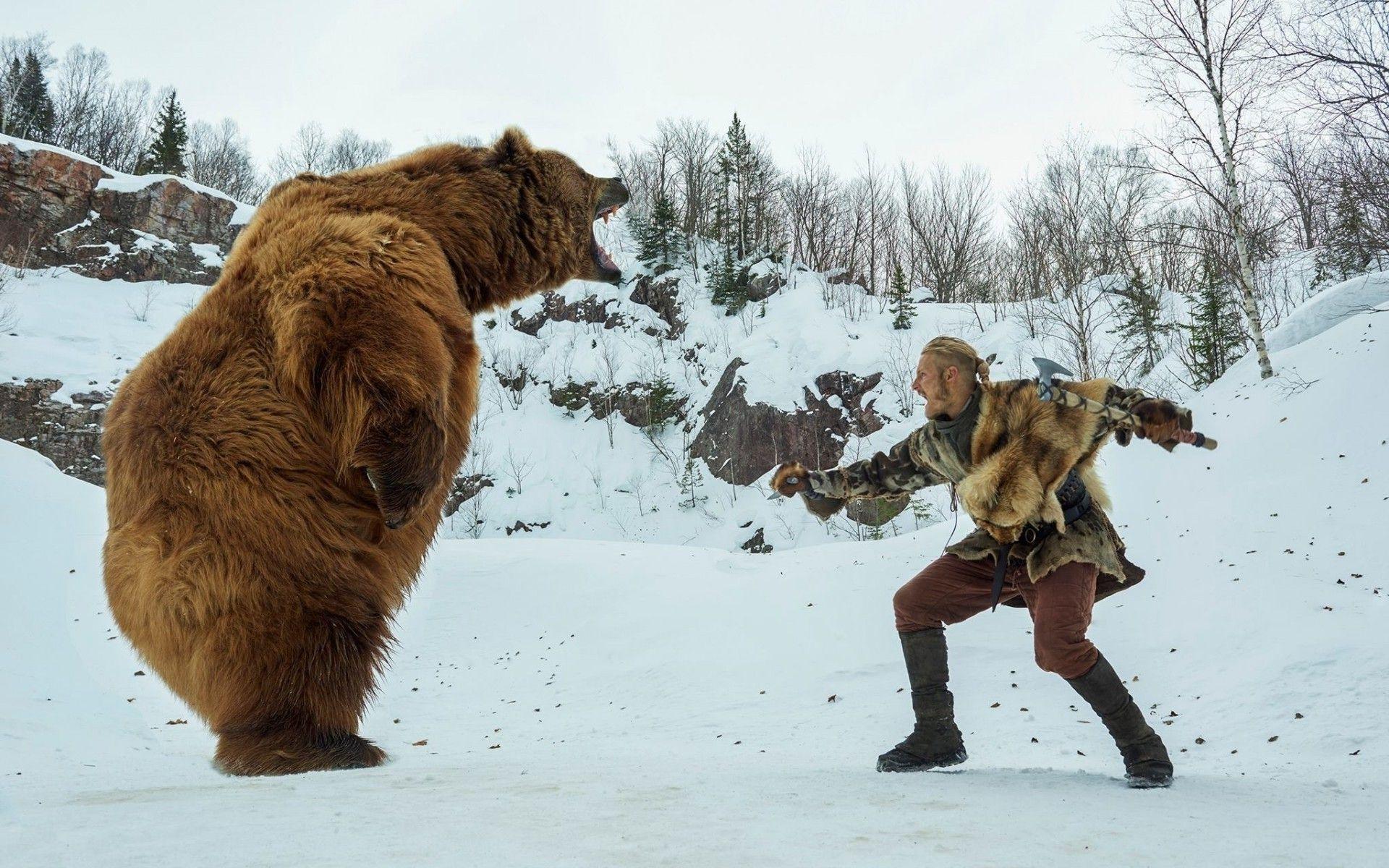 Wallpaper, animals, snow, winter, bears, axes, Vikings TV series