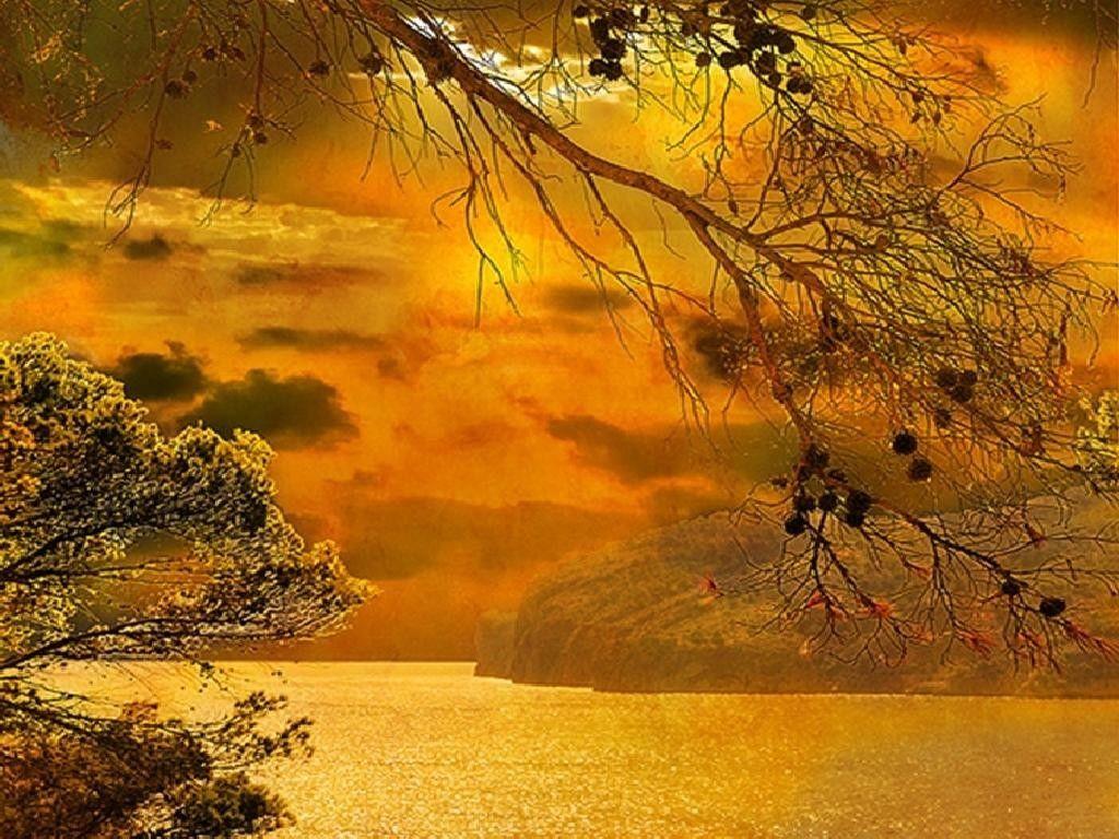 Beaches: Scenery Gold Scenic Beach Color Nature HD Wallpaper