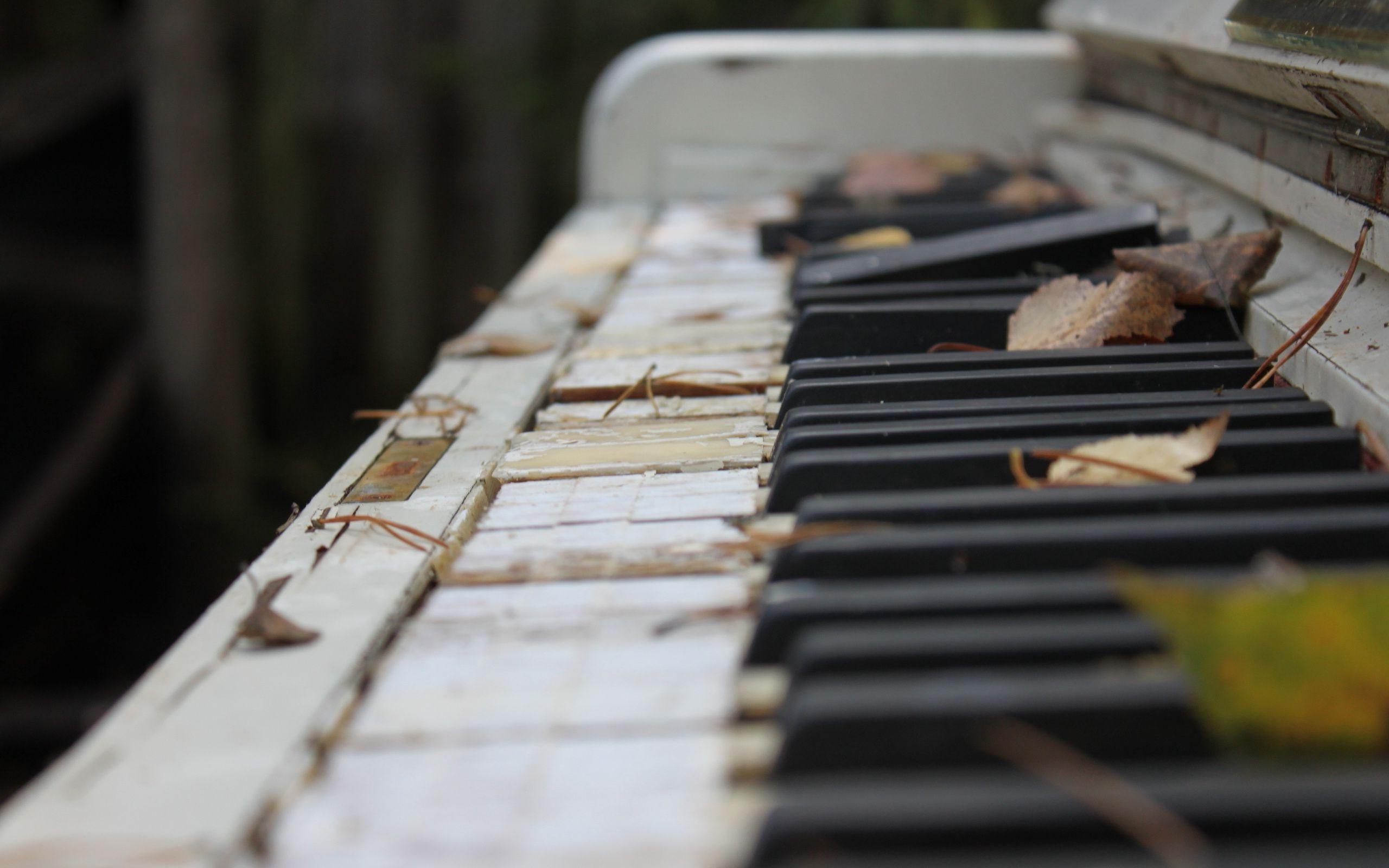 Pianos 4K Wallpaper HD Picture