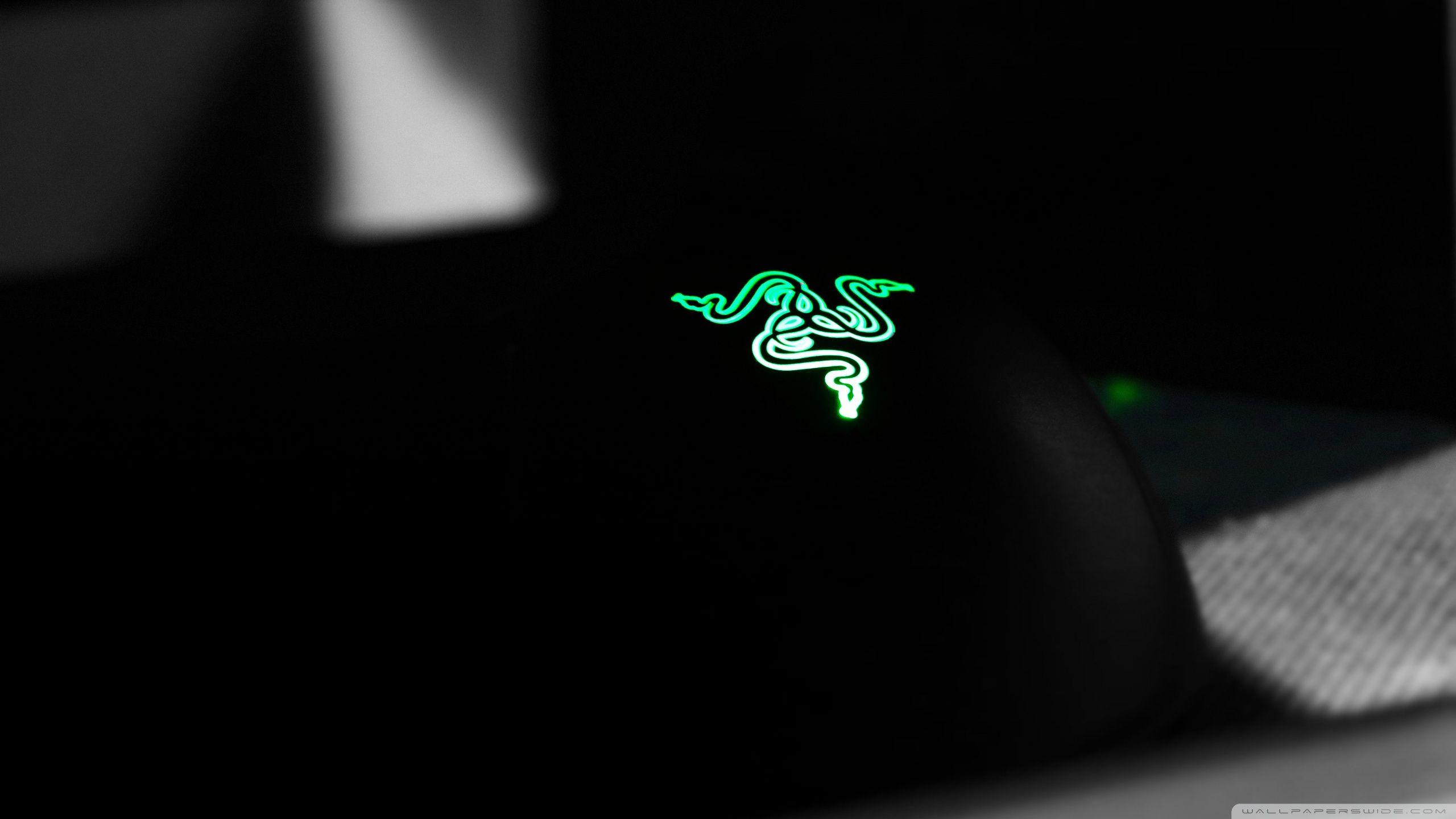 Razer DeathAdder ❤ 4K HD Desktop Wallpaper for 4K Ultra HD TV