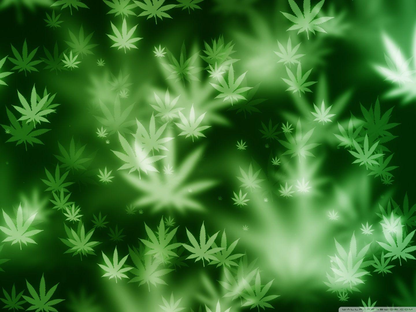 Weed Bokeh ❤ 4K HD Desktop Wallpaper for 4K Ultra HD TV • Wide