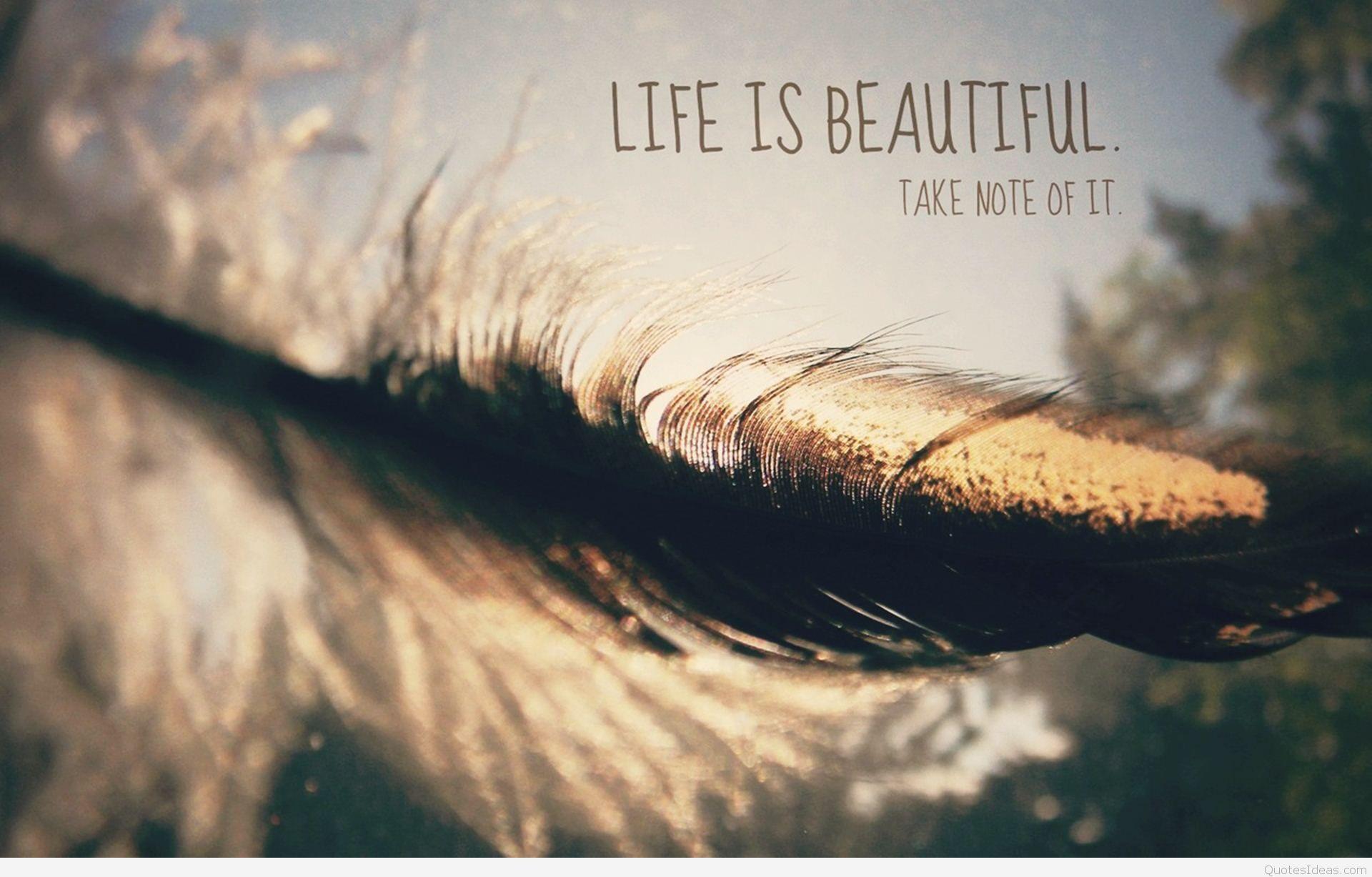 Life Is Beautiful Quotes Wallpapers Wallpaper Cave