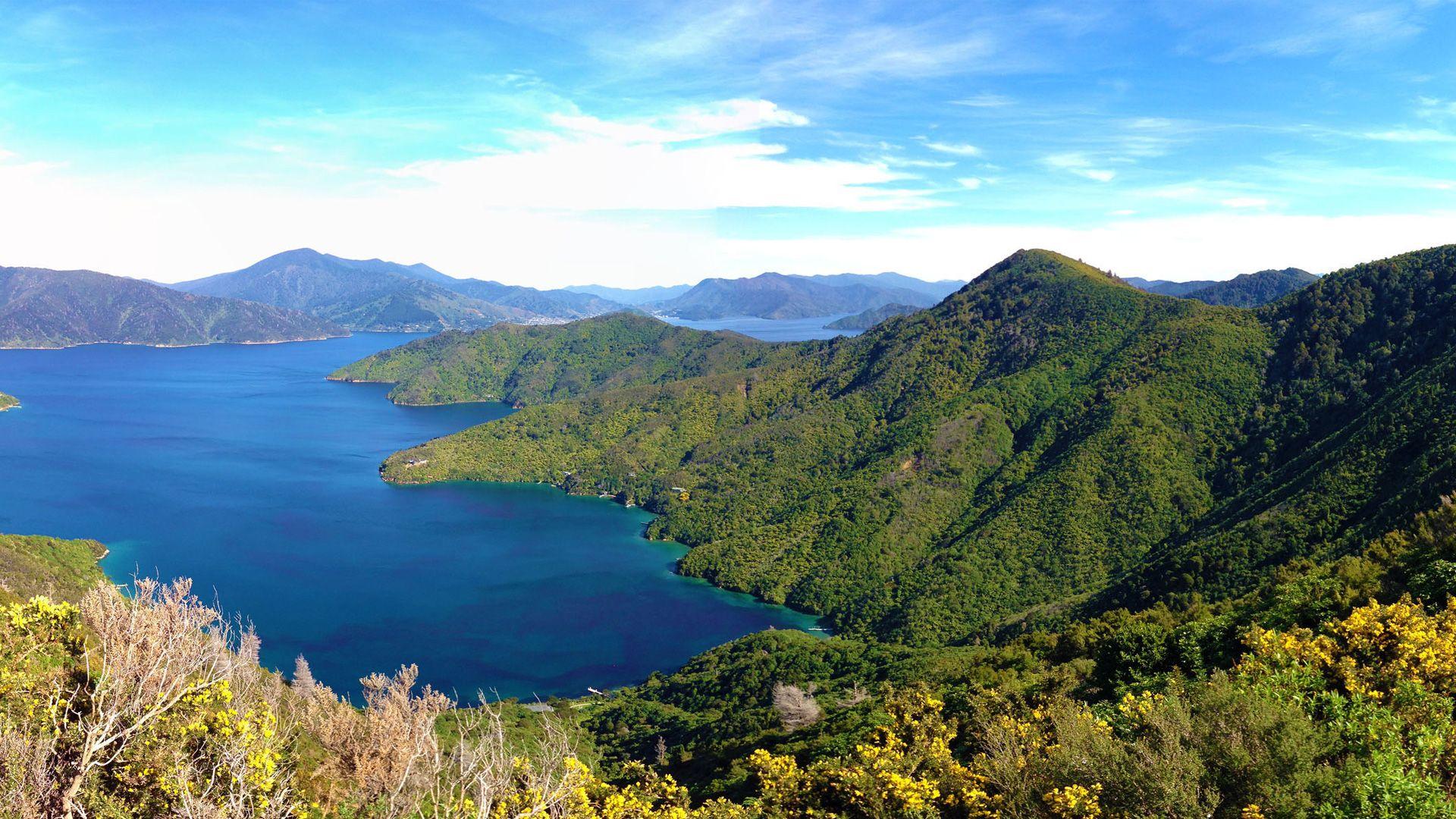 Queen Charlotte Track Marlborough Sounds New Zealand Wallpaper. HD