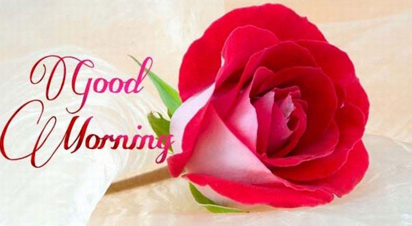 Latest Good Morning wishes, SMS, greetings, Whatsapp Video message