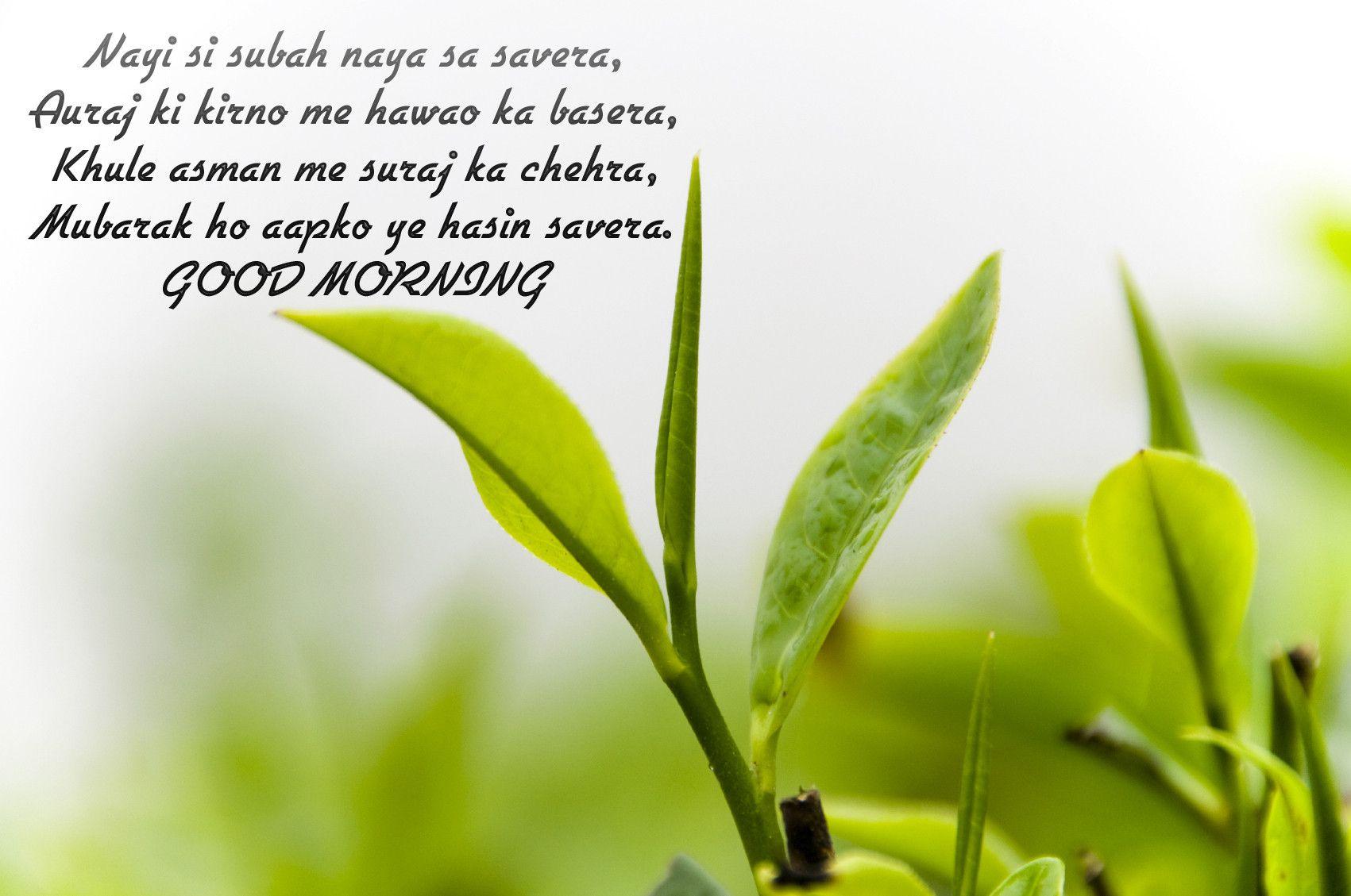 Widescreen New Good Morning Cave On Latest Quotes Full HD Pics Of