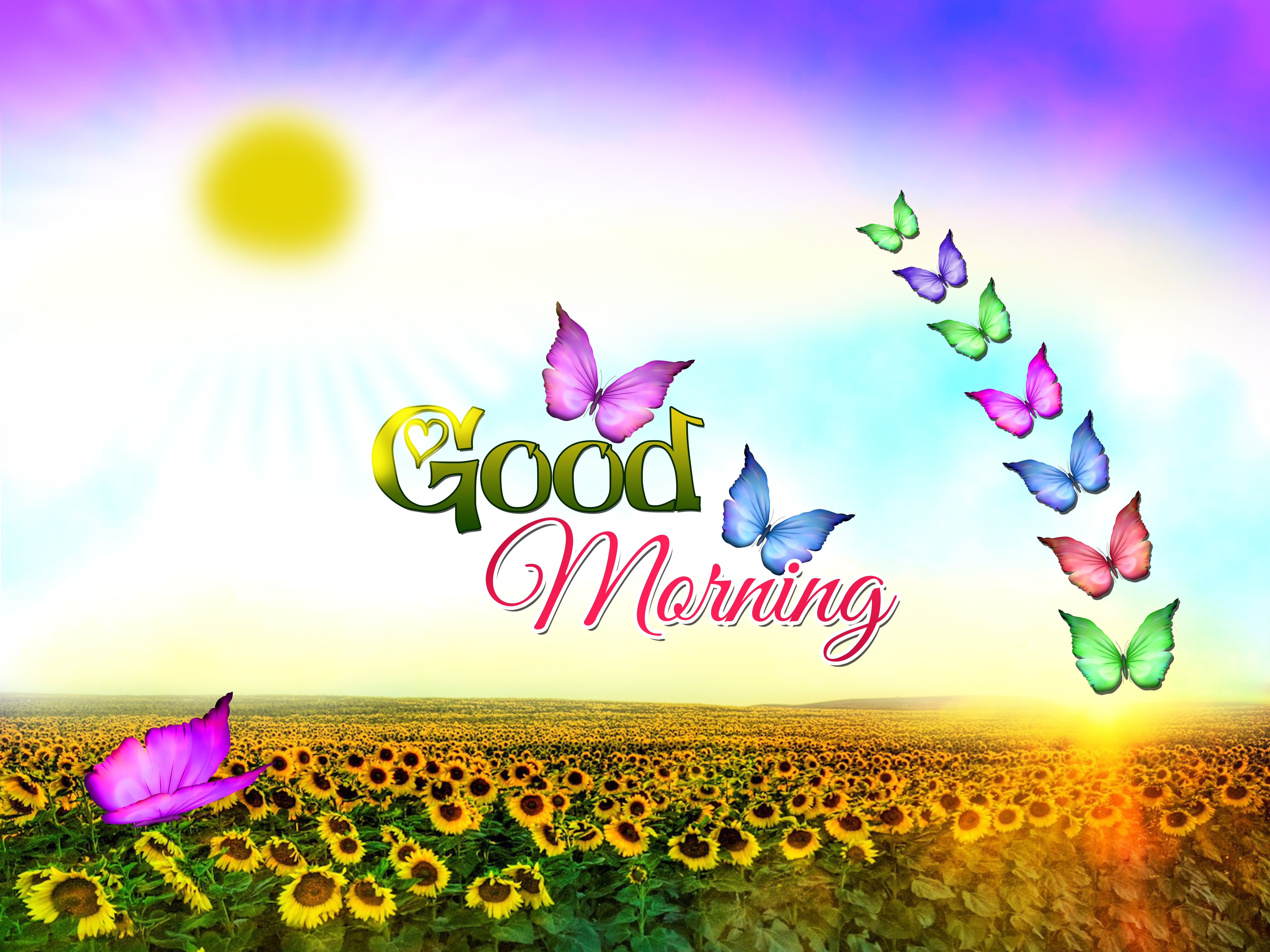 Widescreen Image About Good Morning On Nature Wallpaper High Resolution For