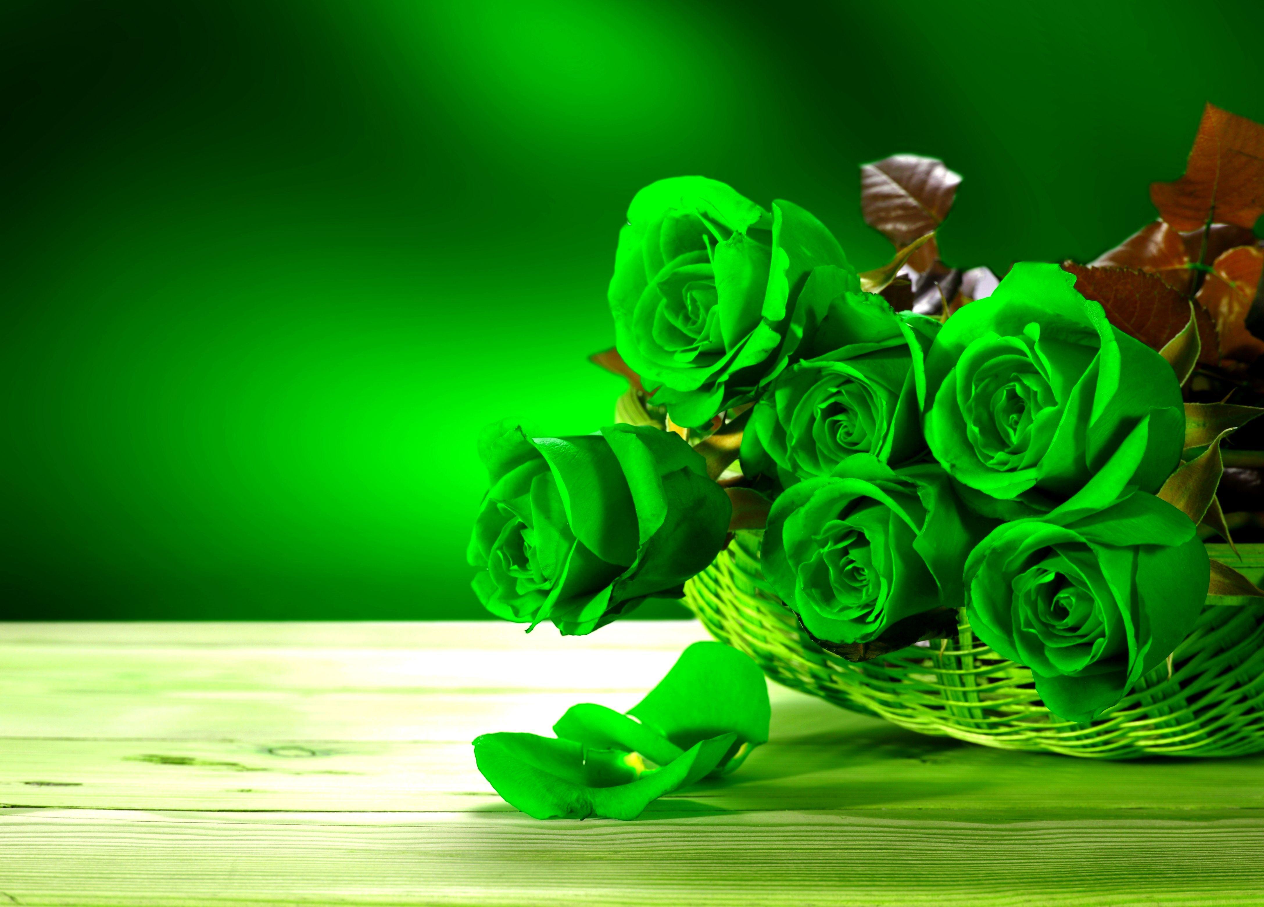 The Meaning and Beautiful Green Roses. Green rose and Rose