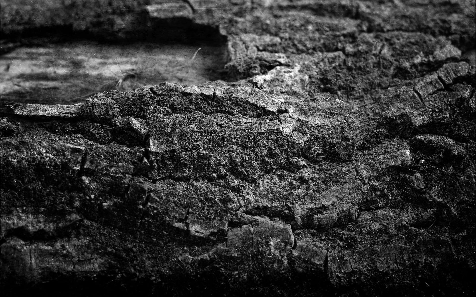 Grayscale photography of black stone fragment HD wallpaper