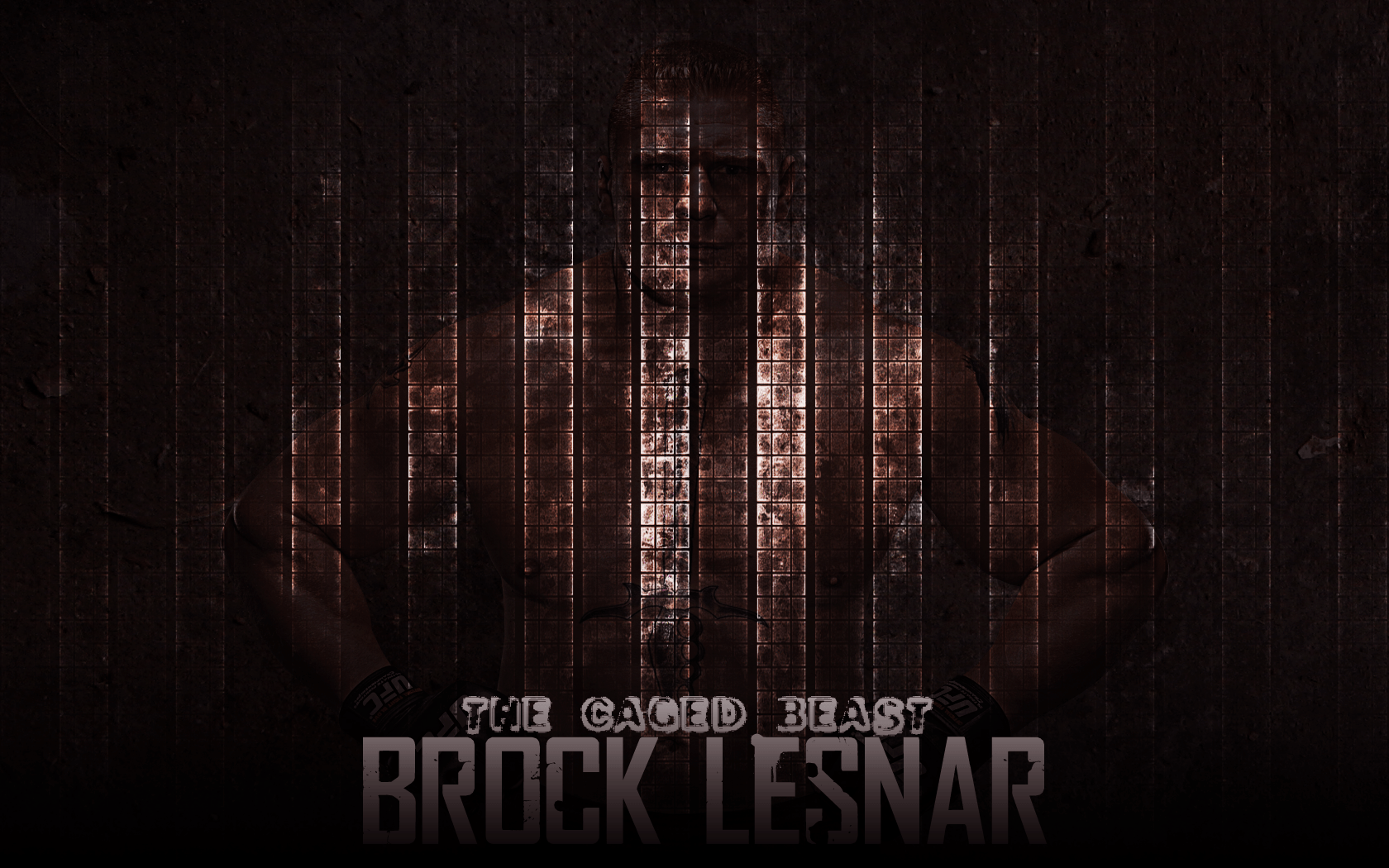 Brock Lesnar wallpaper