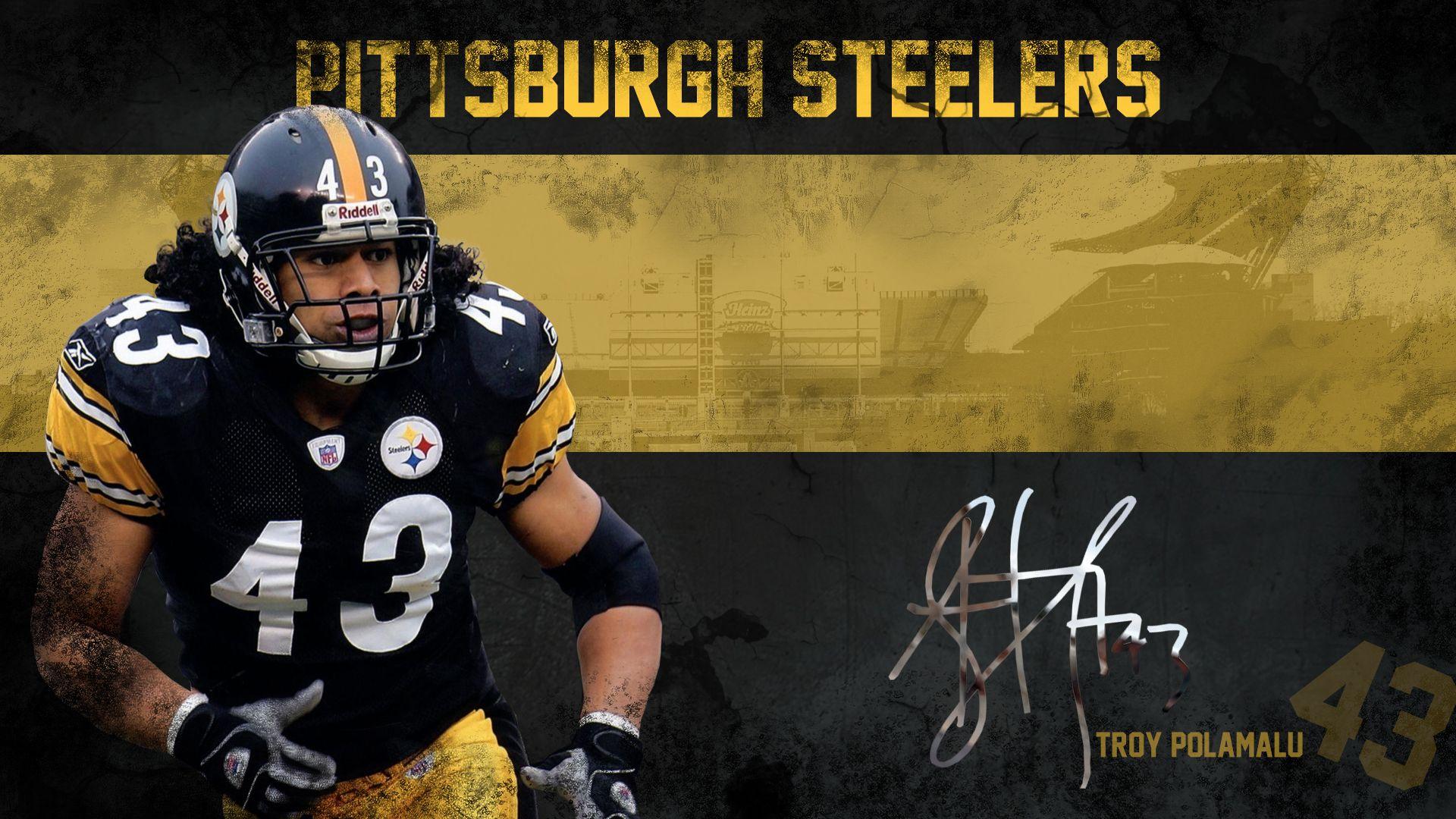 Pittsburgh Steelers image Troy Polamalu Wallpaper HD wallpaper