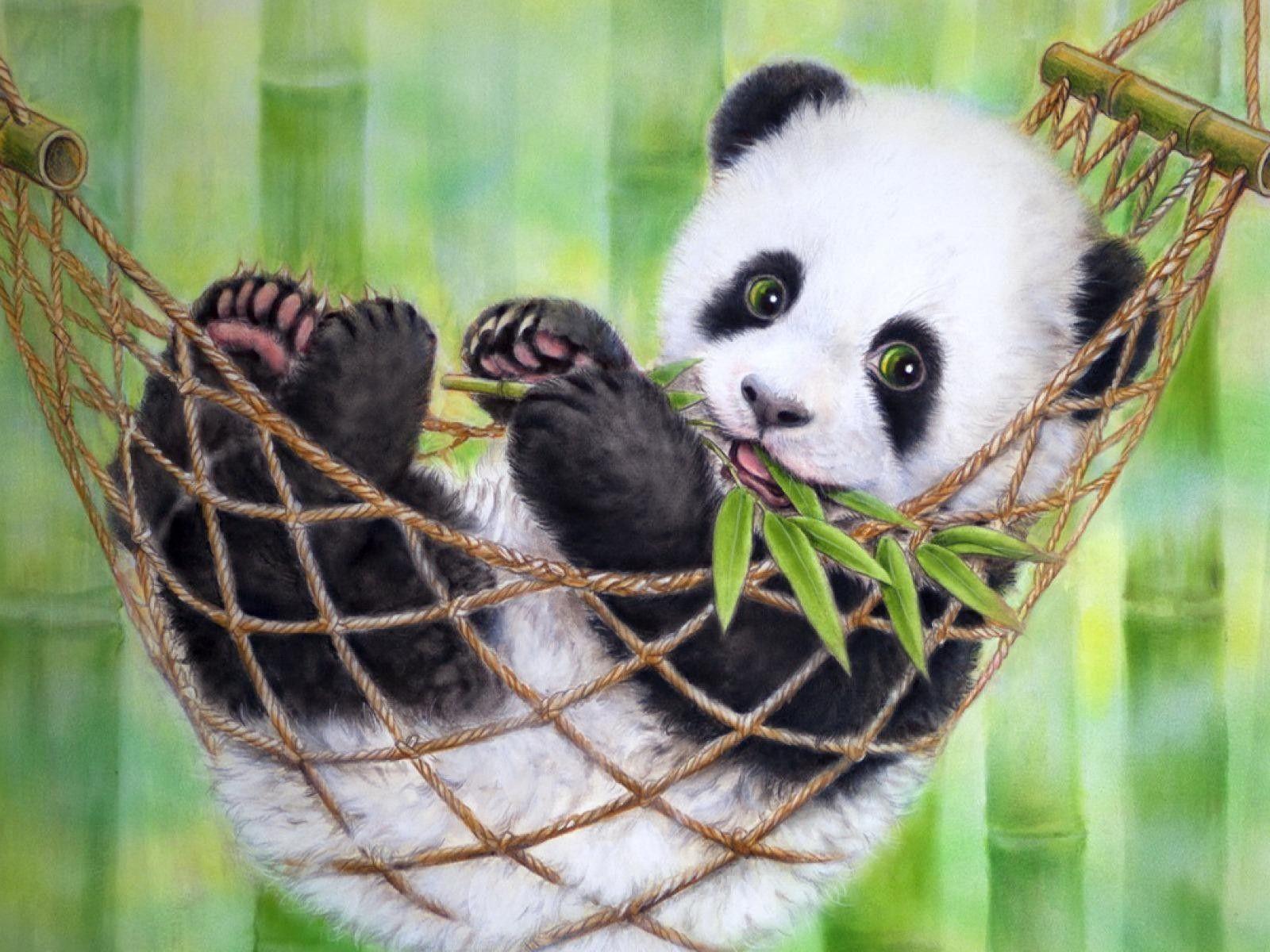 Gambar Wallpapers Tumblr Panda Wallpaper Cave