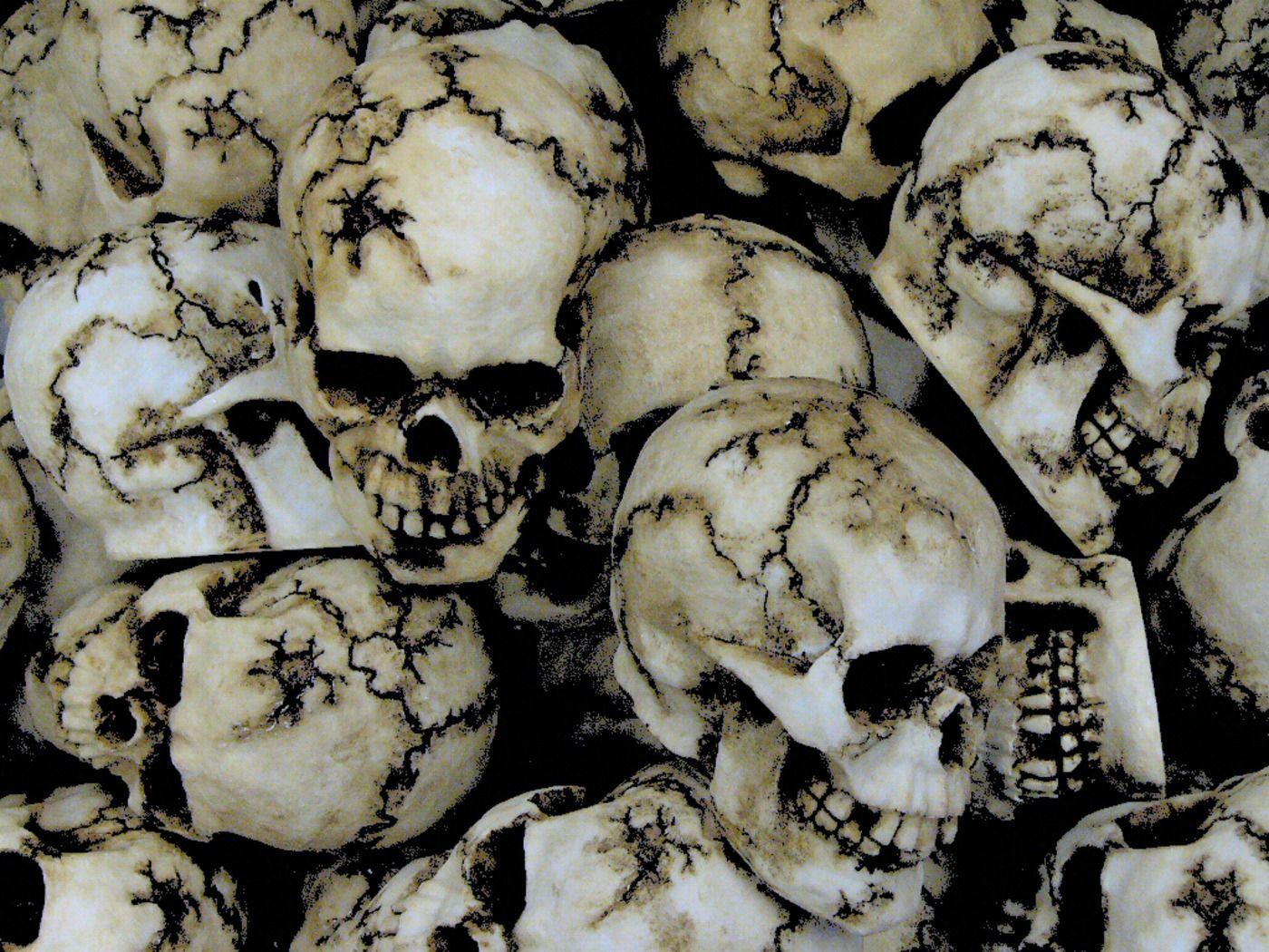 Wallpaper Skull