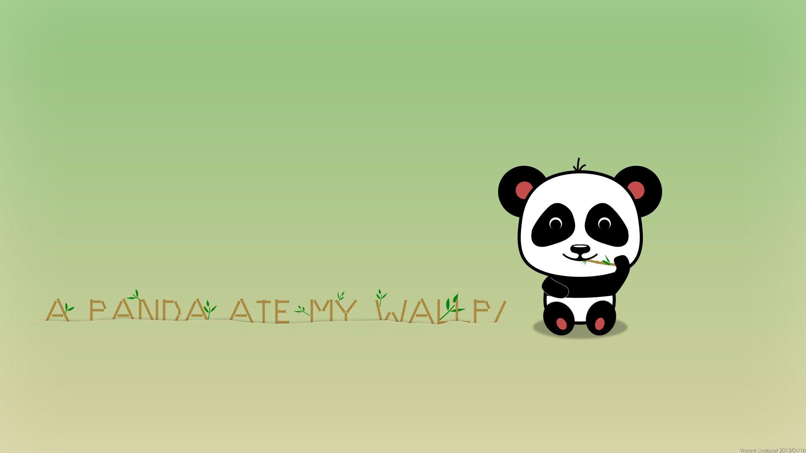 Cute Panda HD Background Tumblr