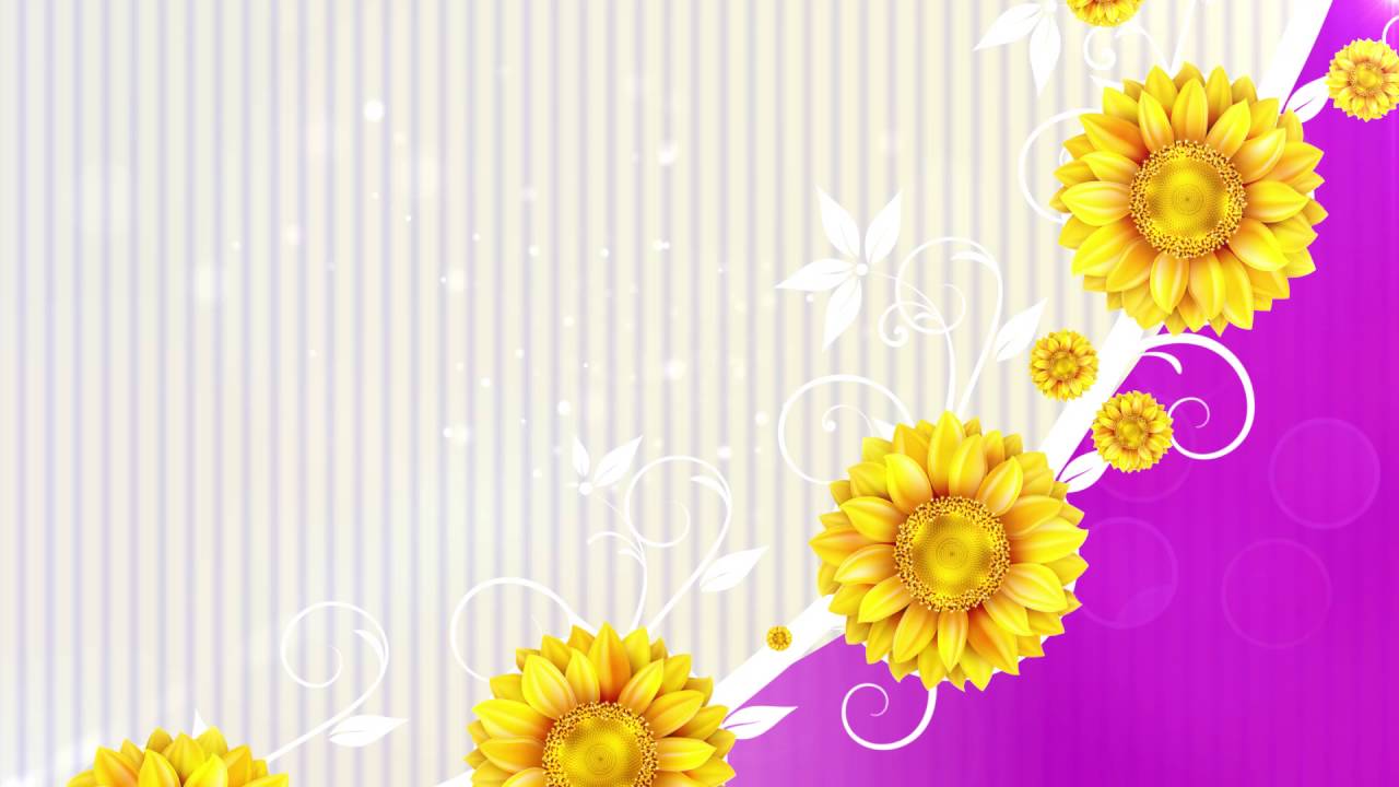 flower Background, Wedding Background Video, Video HD