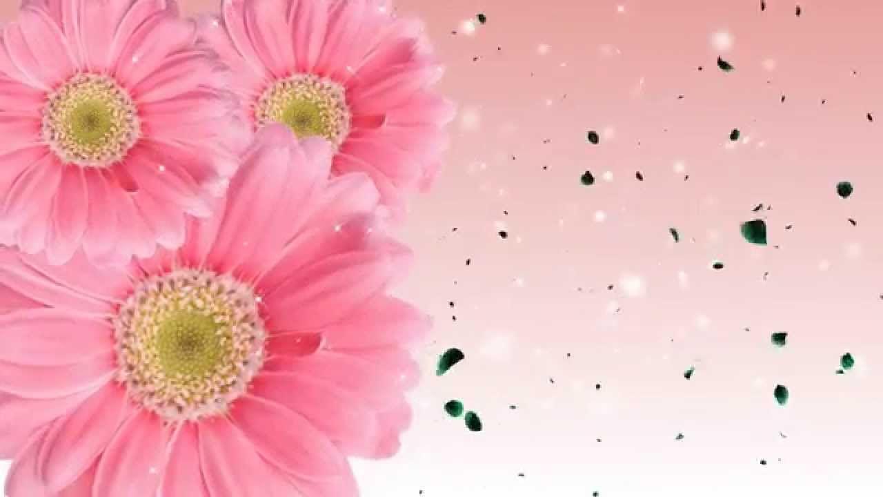 Animated Flowers Blooming Background
