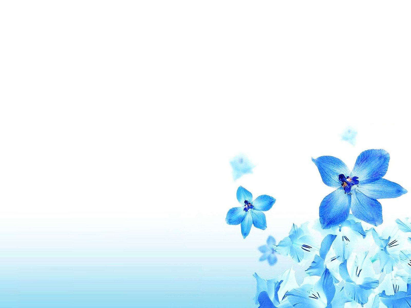 Powerpoint Background Flower Blue