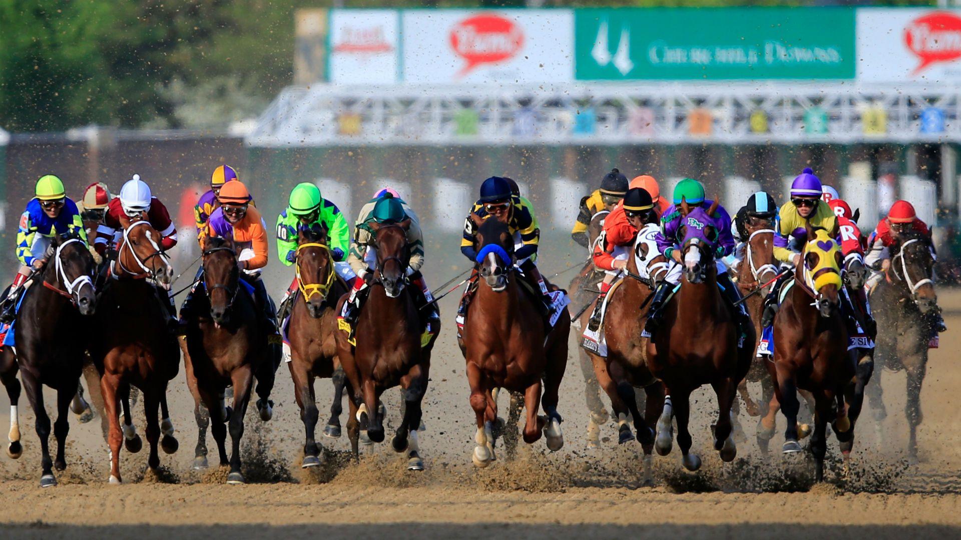 Horsin' around: Gronkowski to run in 2018 Kentucky Derby. AMERICAN