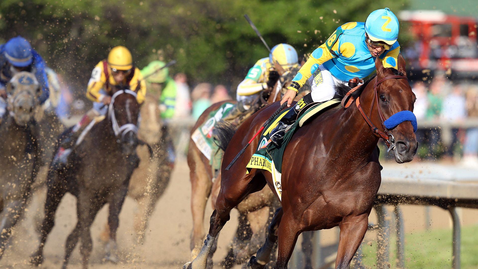 Things to Know About the Kentucky Derby