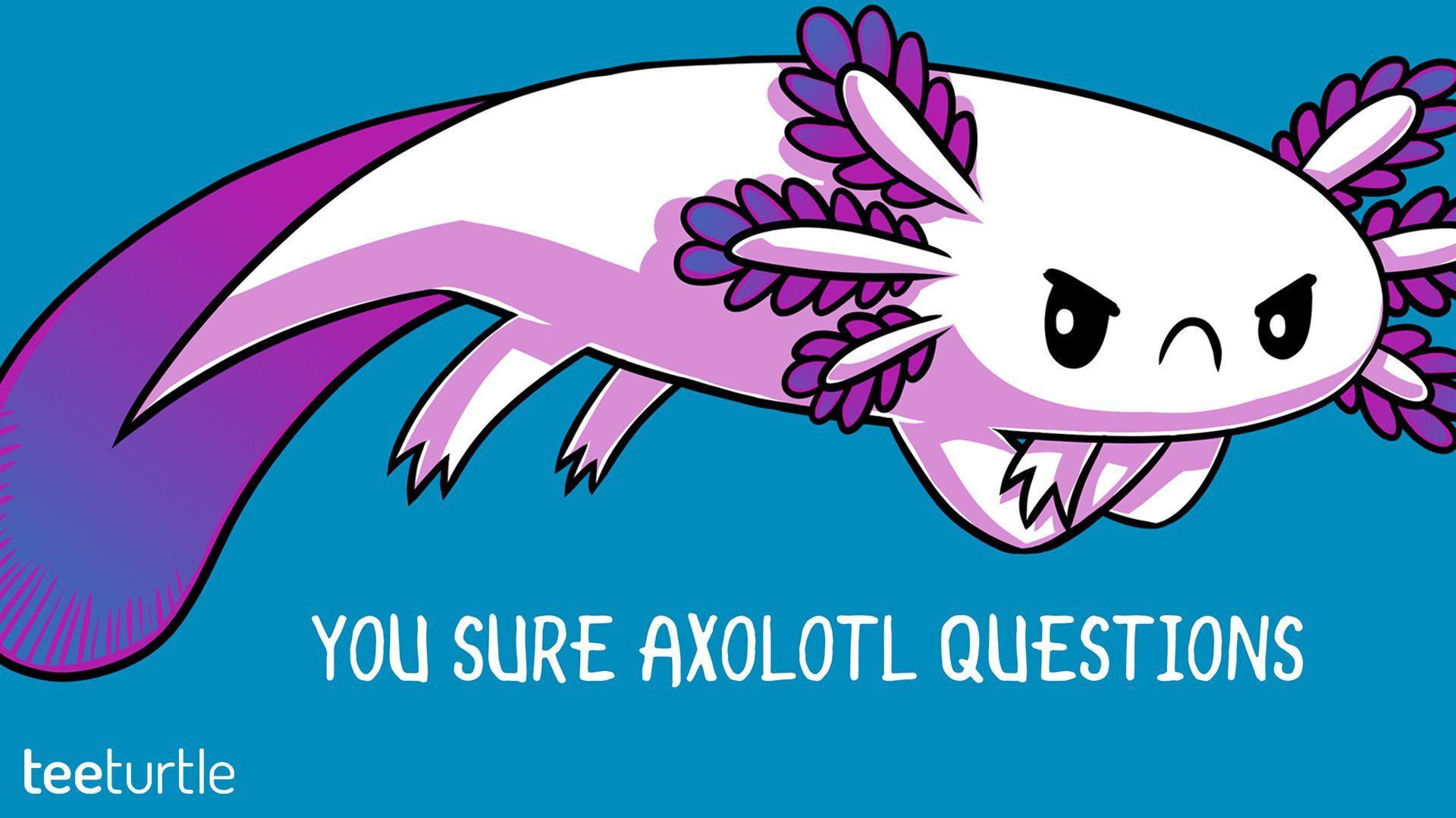 Axolotl Wallpapers Wallpaper Cave