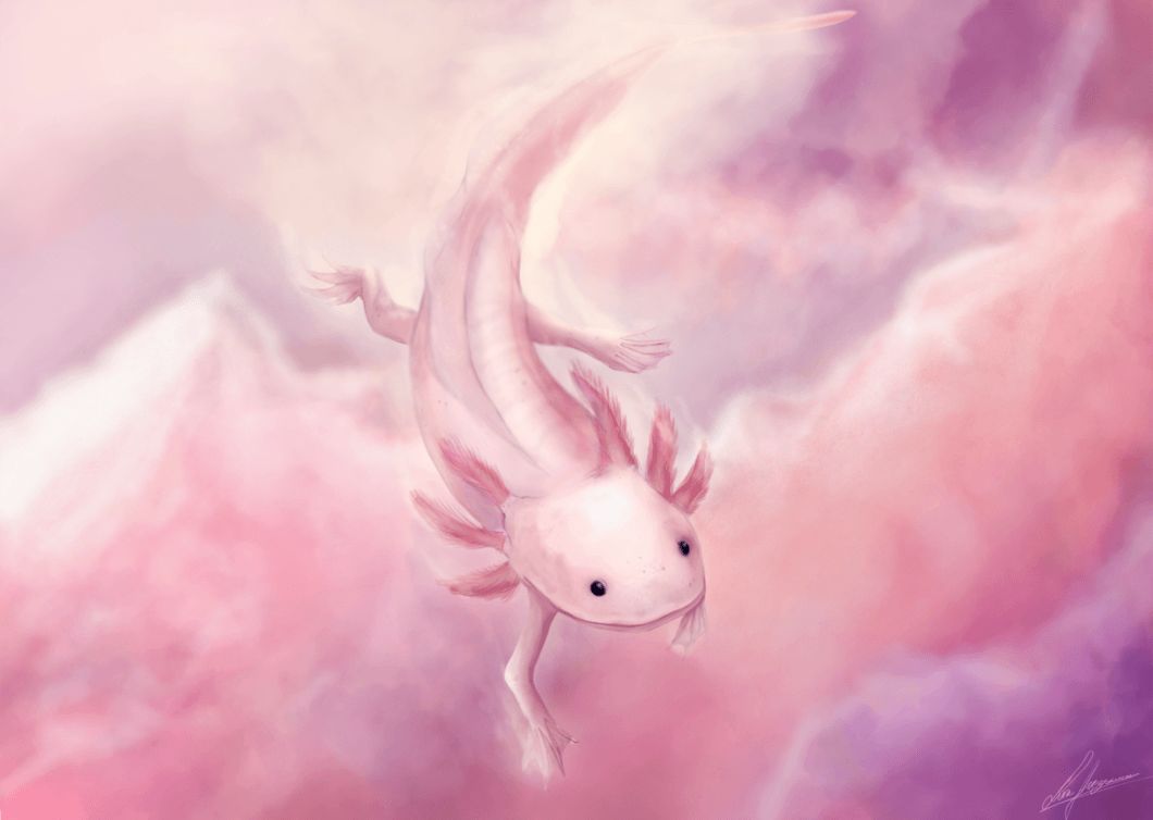 Animals Anonymous: Axolotl and Olm by Mouselemur