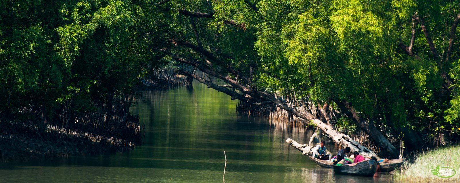 Sundarban National Park, West Bengal, India