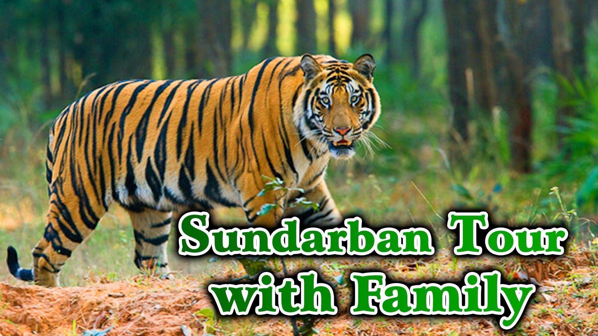 Way to Sundarbans National Park, west bengal