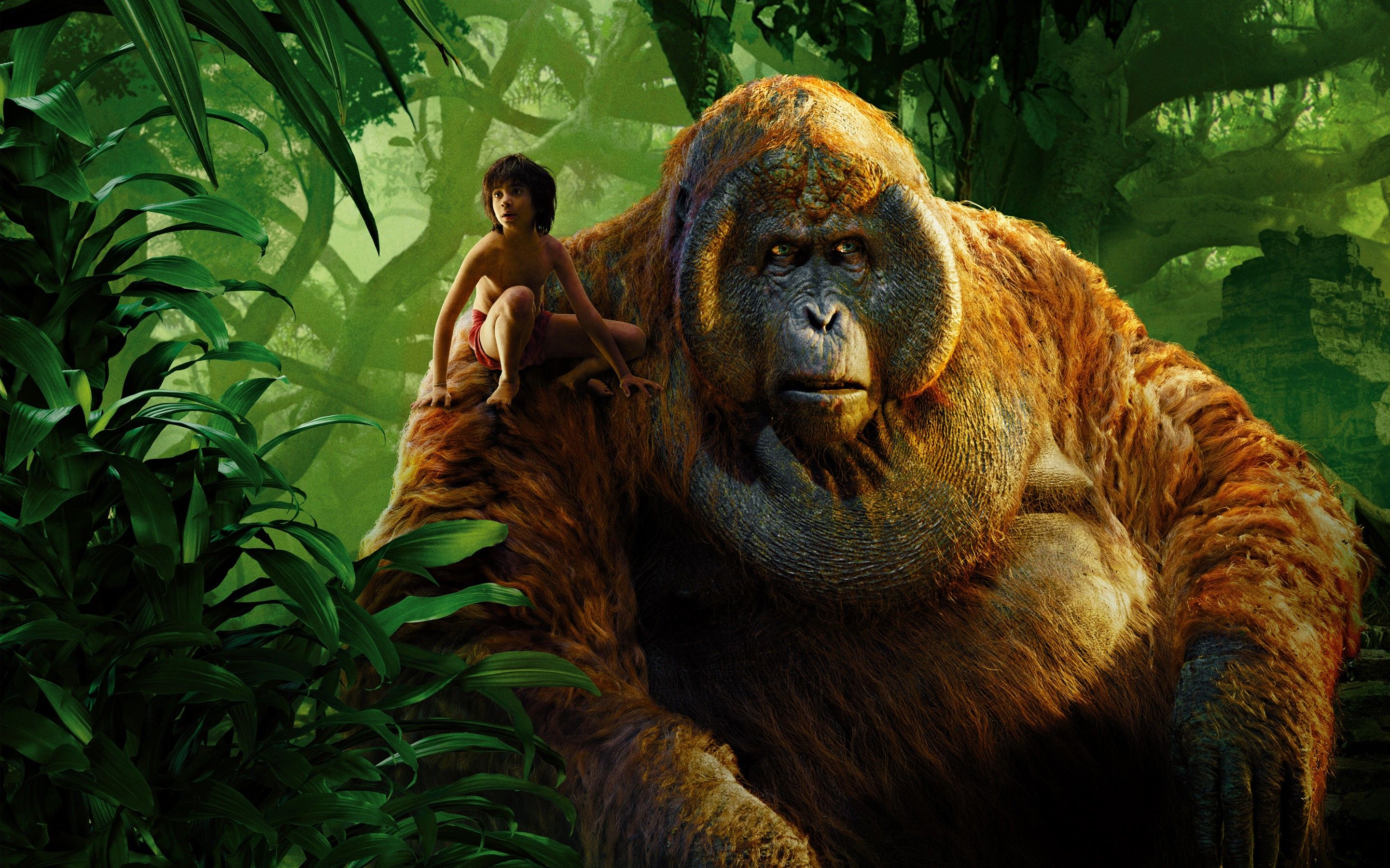 Mowgli King Louie Jungle Book Wallpaper